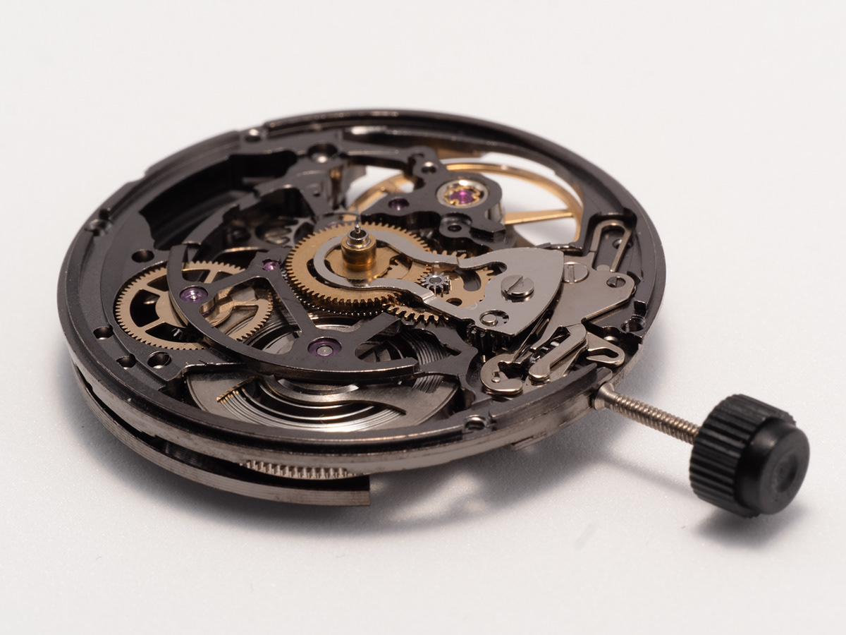 Watch Cameleon — photographie 22