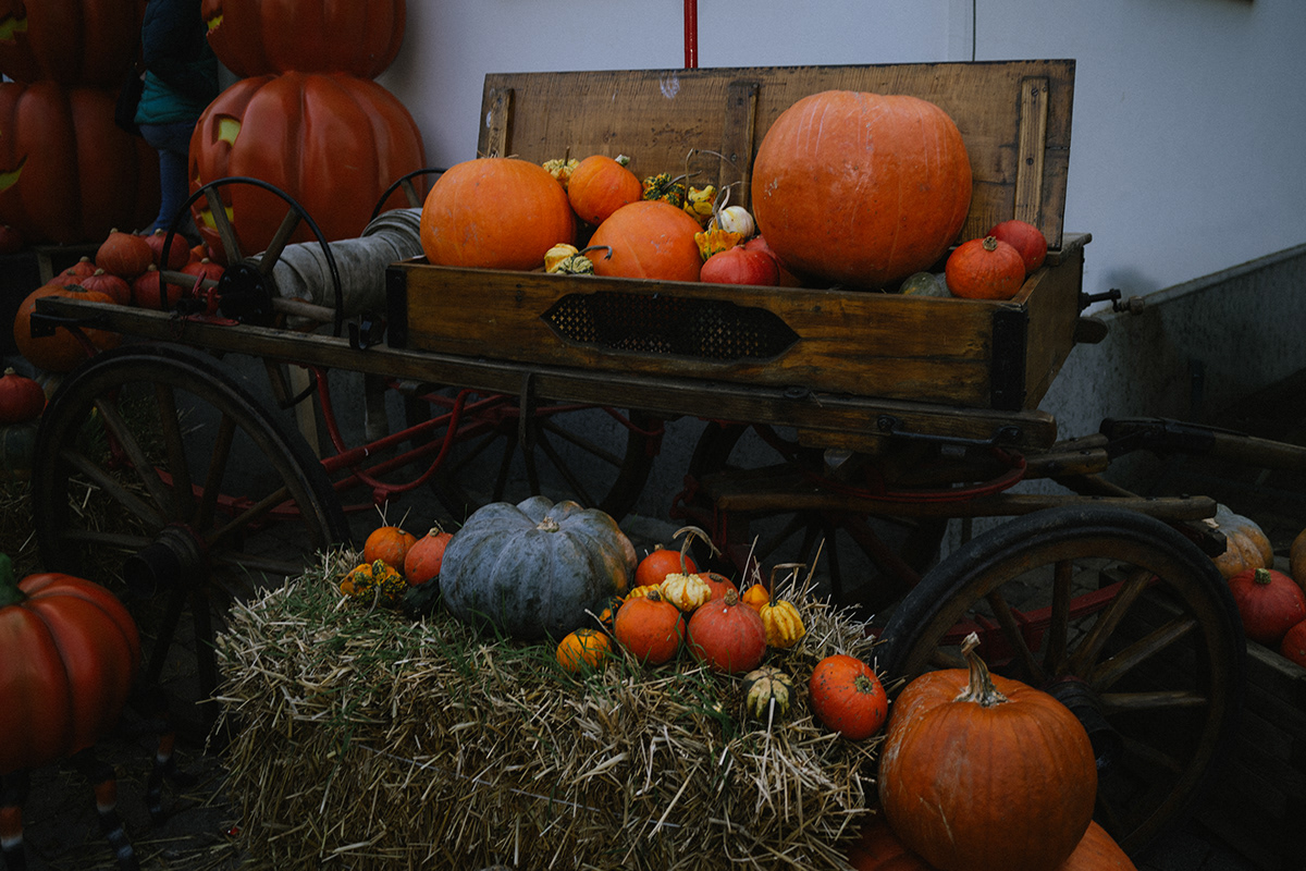 halloween — photographie 3