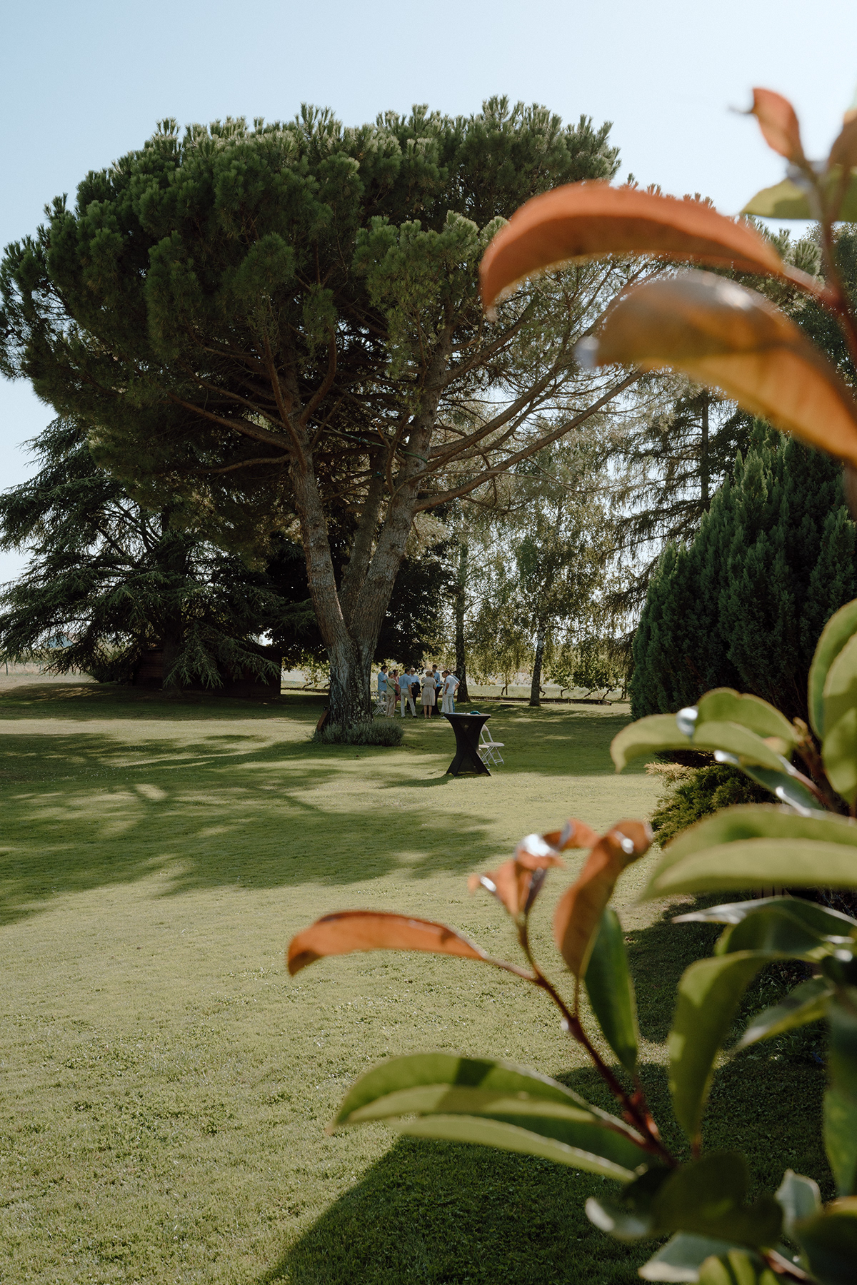 69th birthday - Ulrike — photographie 84