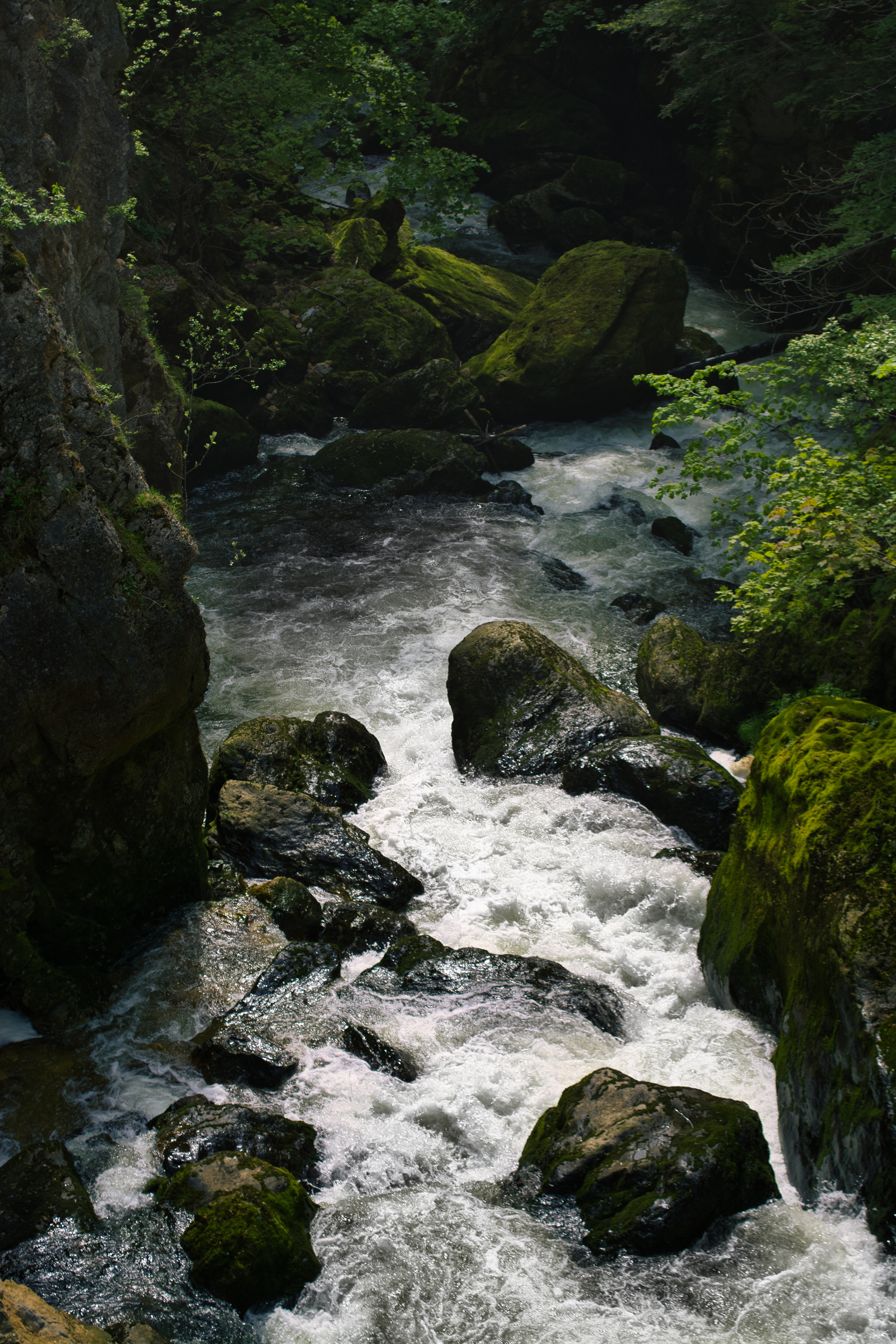 Gorge de l'Areuse