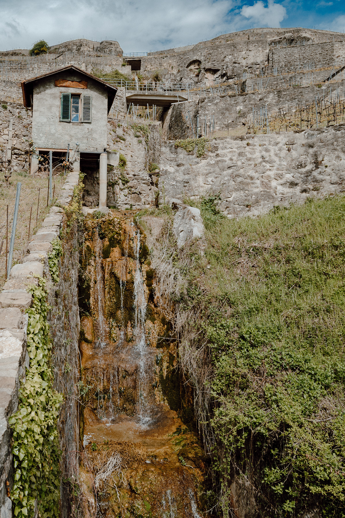 Anne & Farid — photographie 71