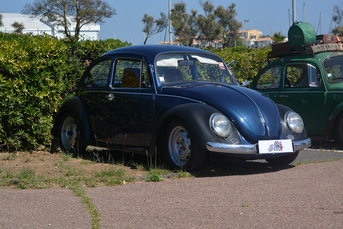 Cox-toujours 30 ans ! — photographie 8