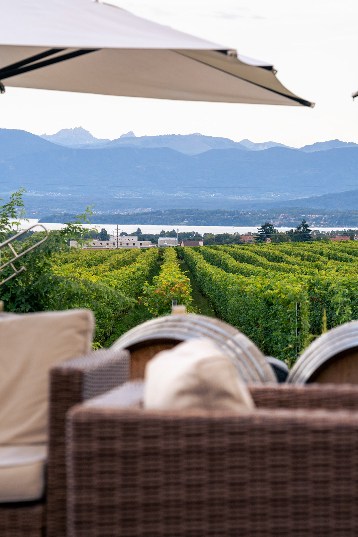 Domaine La Capitaine - 30 ans — photographie 79