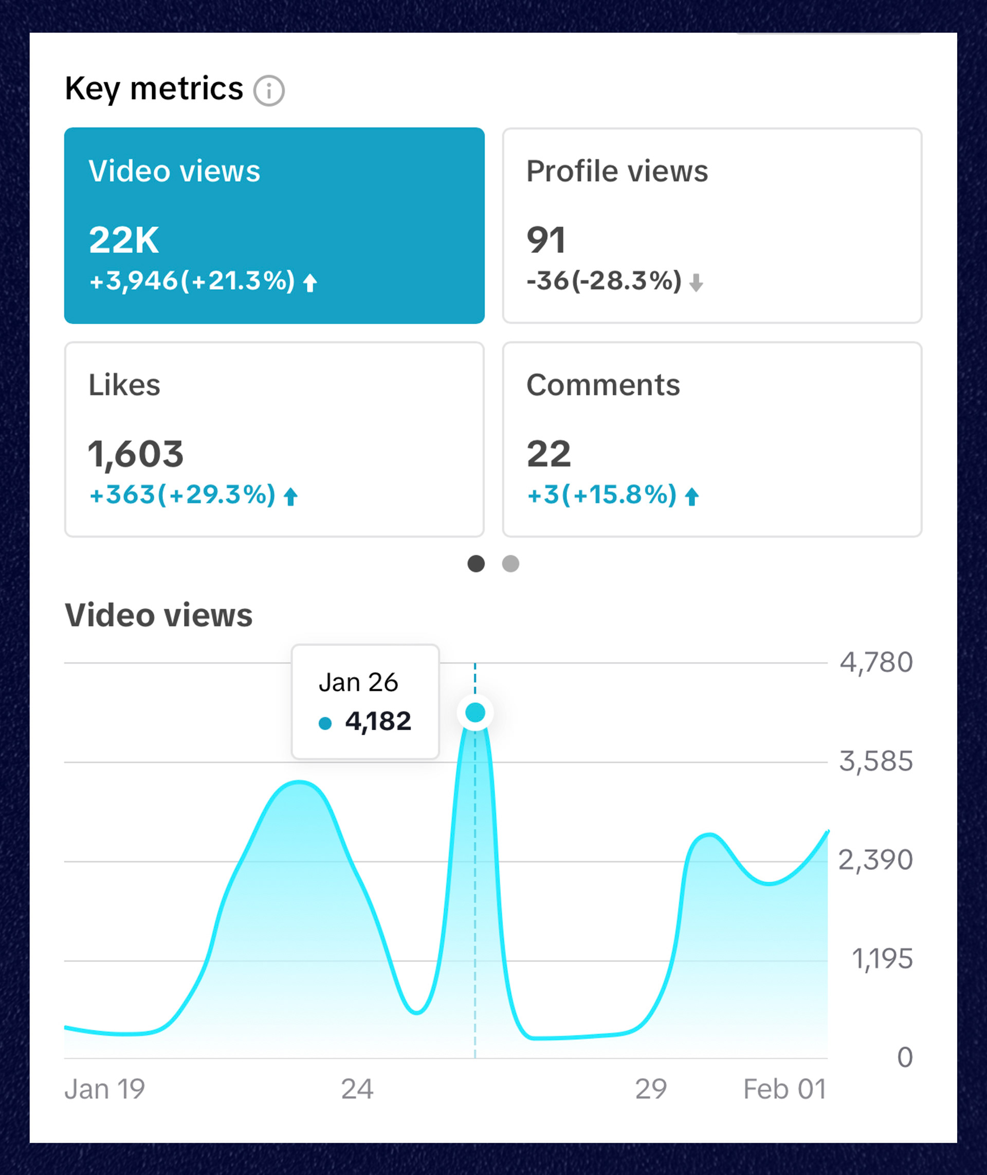 TikTok Analytics Example