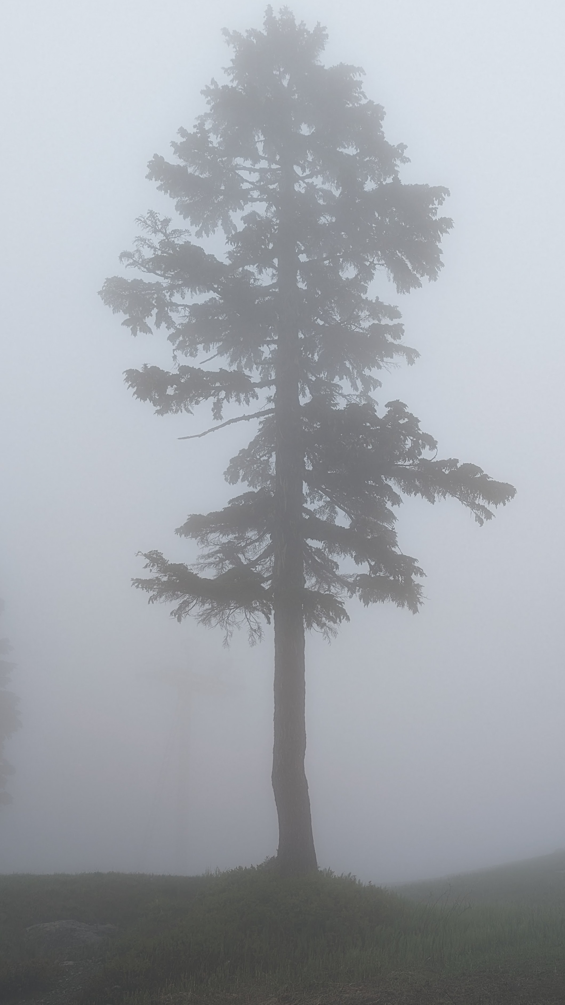 Grouse Mountain, BC