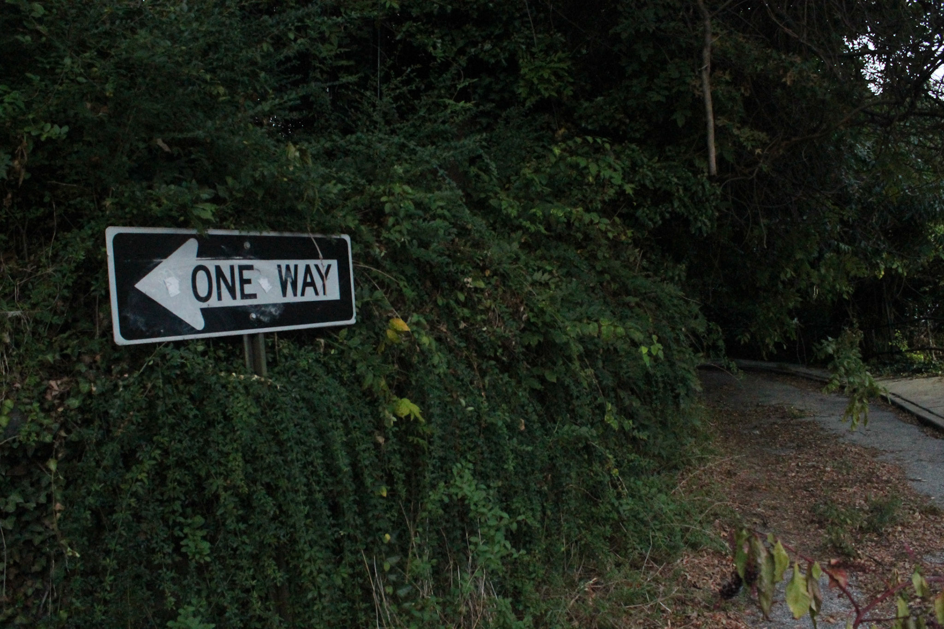 A one-way sign at the end of a driveway on Park Avenue in Reservoir Hill, Baltimore; Wednesday, September 22, 2022.