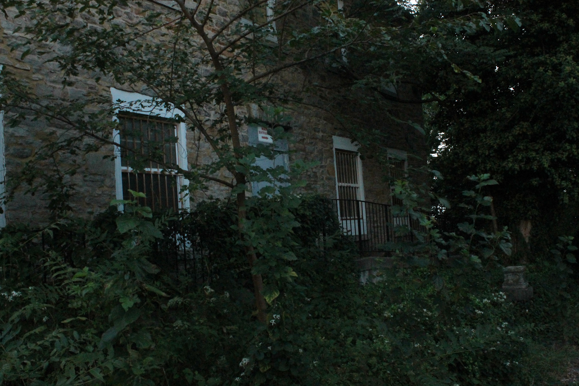 The rear of an abandoned building is seen through overgrown trees and grass in Reservoir Hill, Baltimore; Wednesday, September 22, 2022.