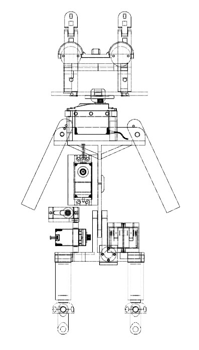 Owl- front