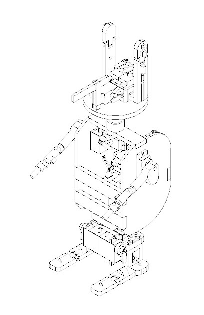 Squirel- line drawing