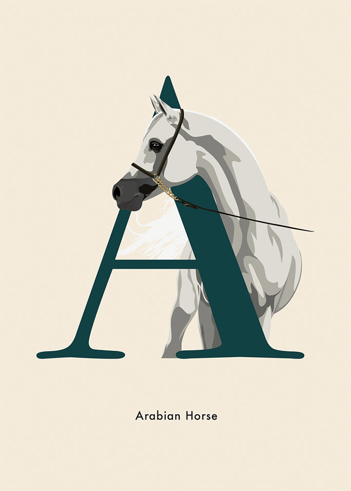 Alphabet Poster ' A' for Arabian Horse