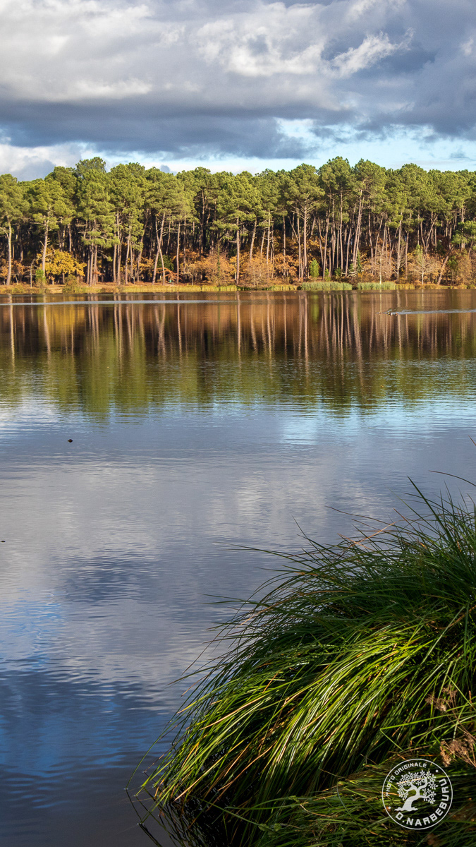 Lac de Clarens