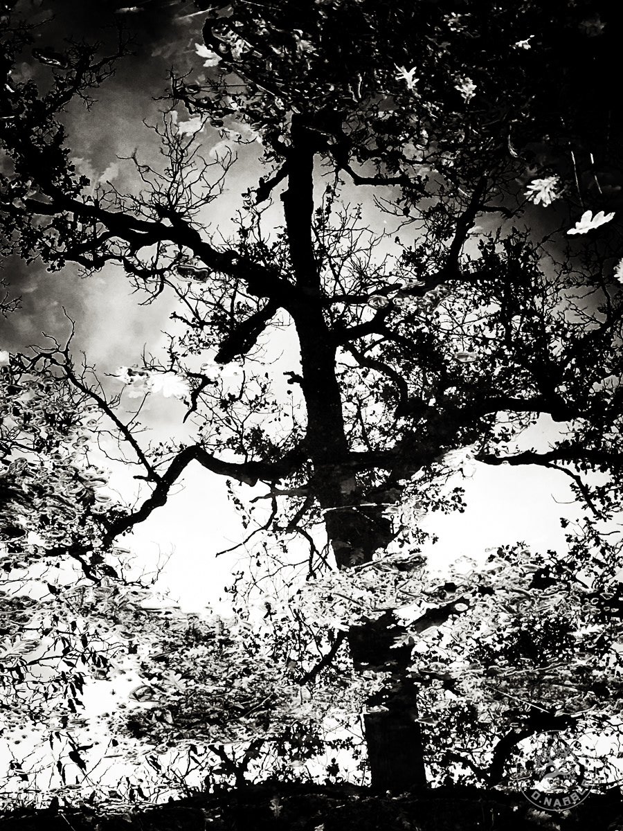 Reflets