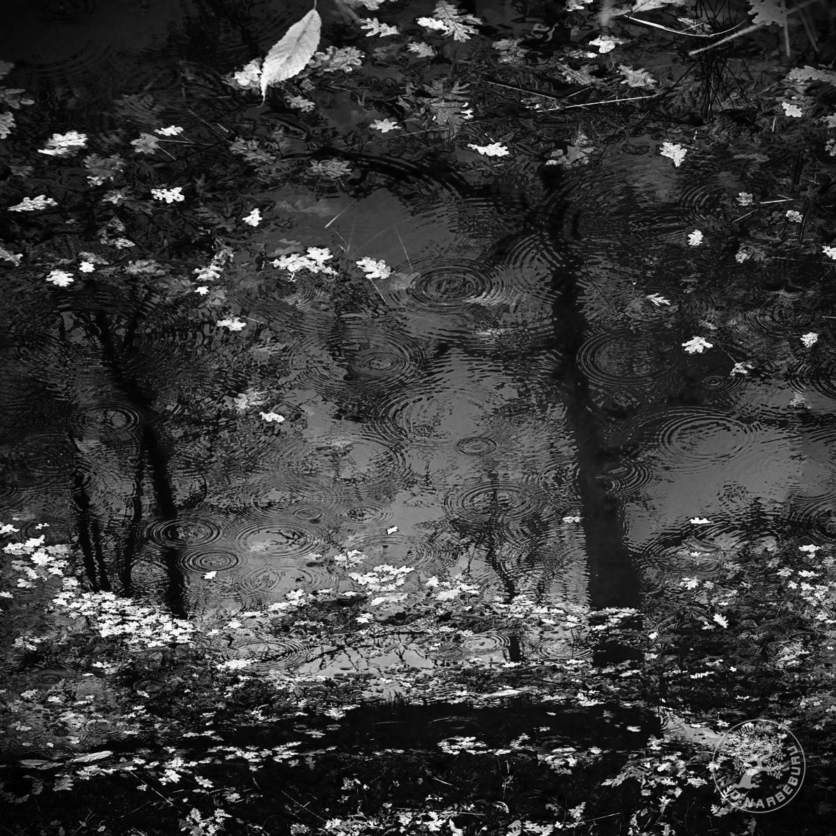 Reflet