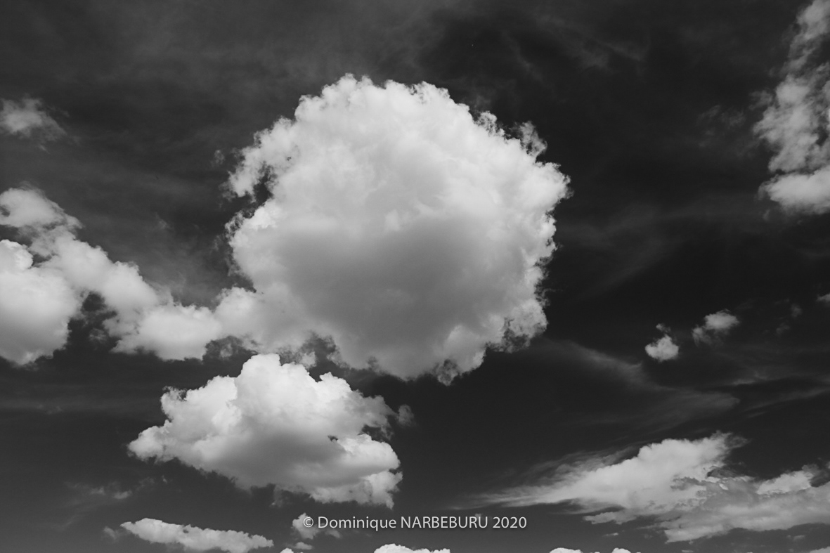 cumulus