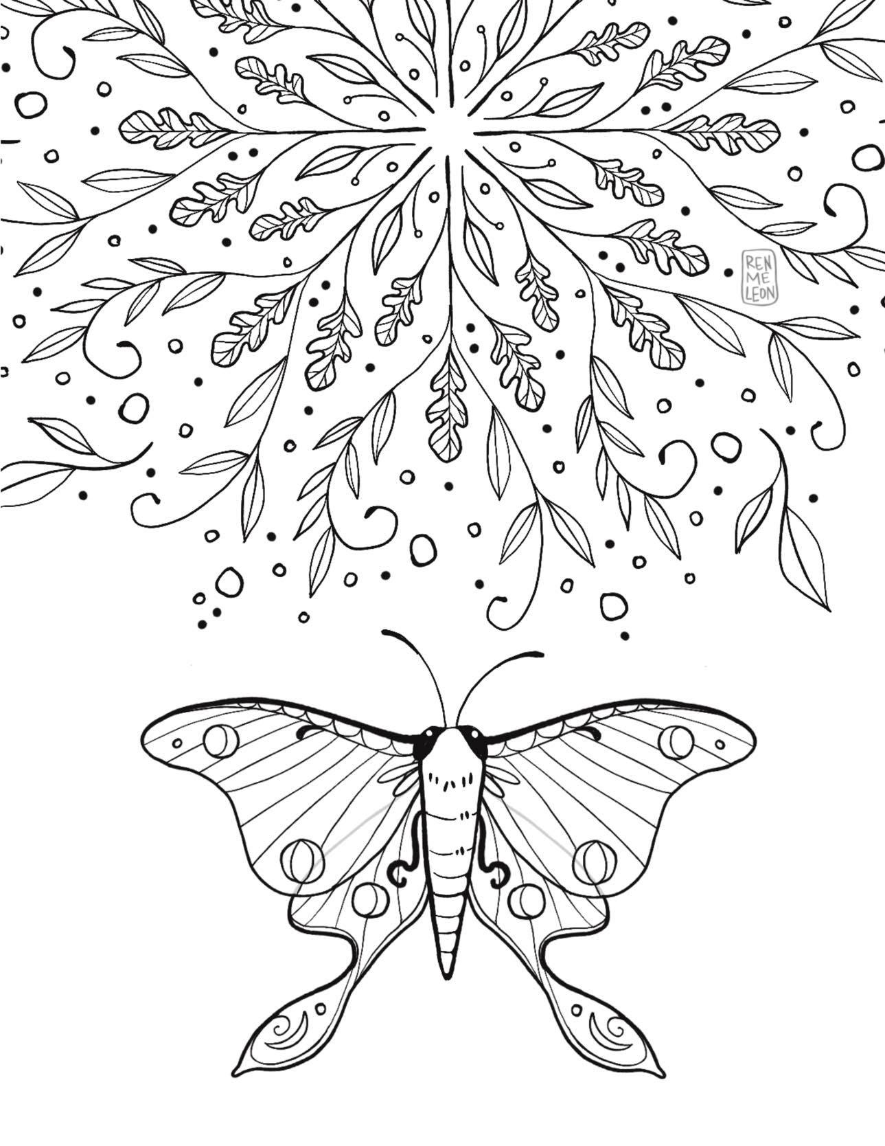 Moth coloring page