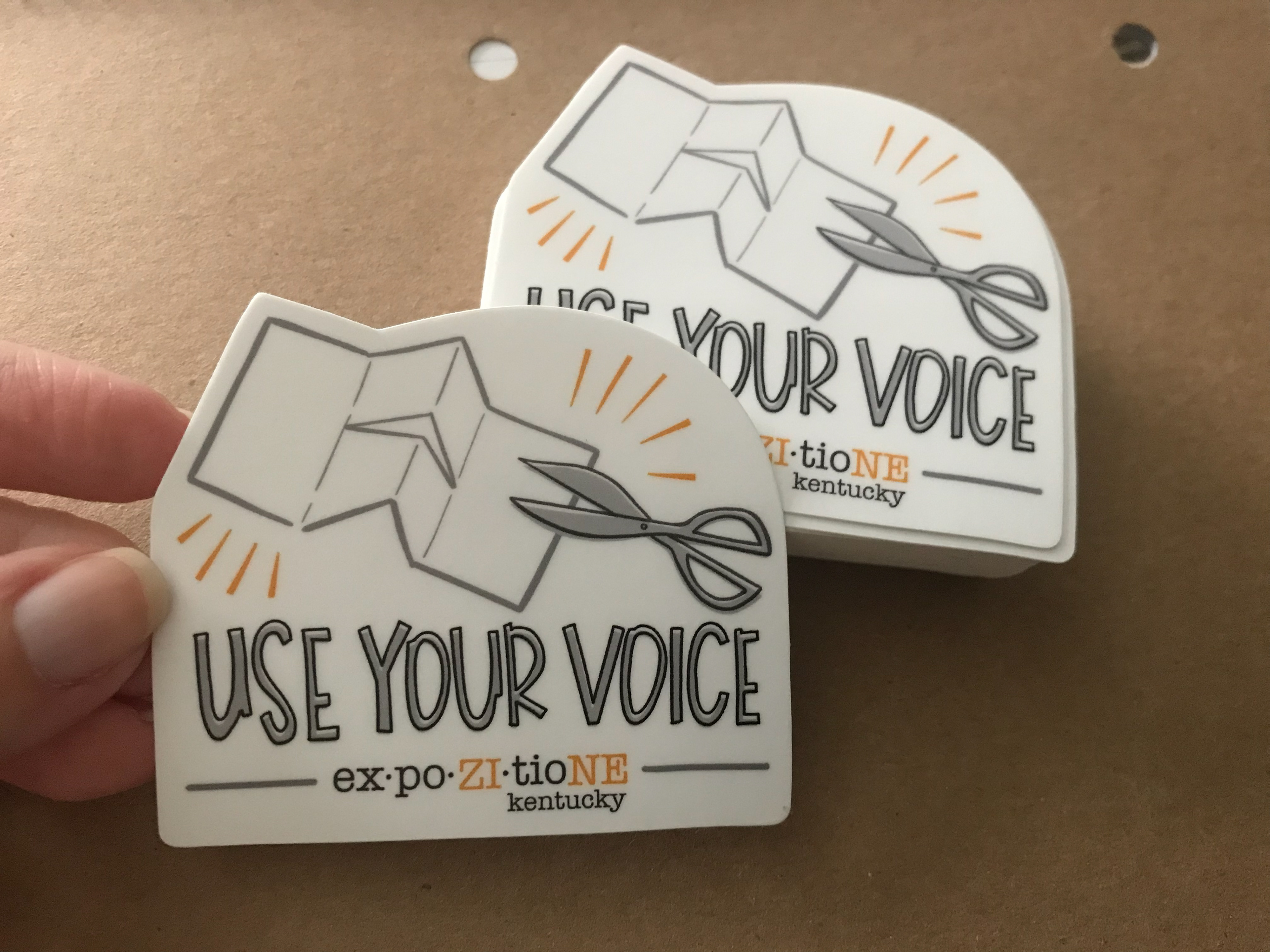 Zinester, Use Your Voice