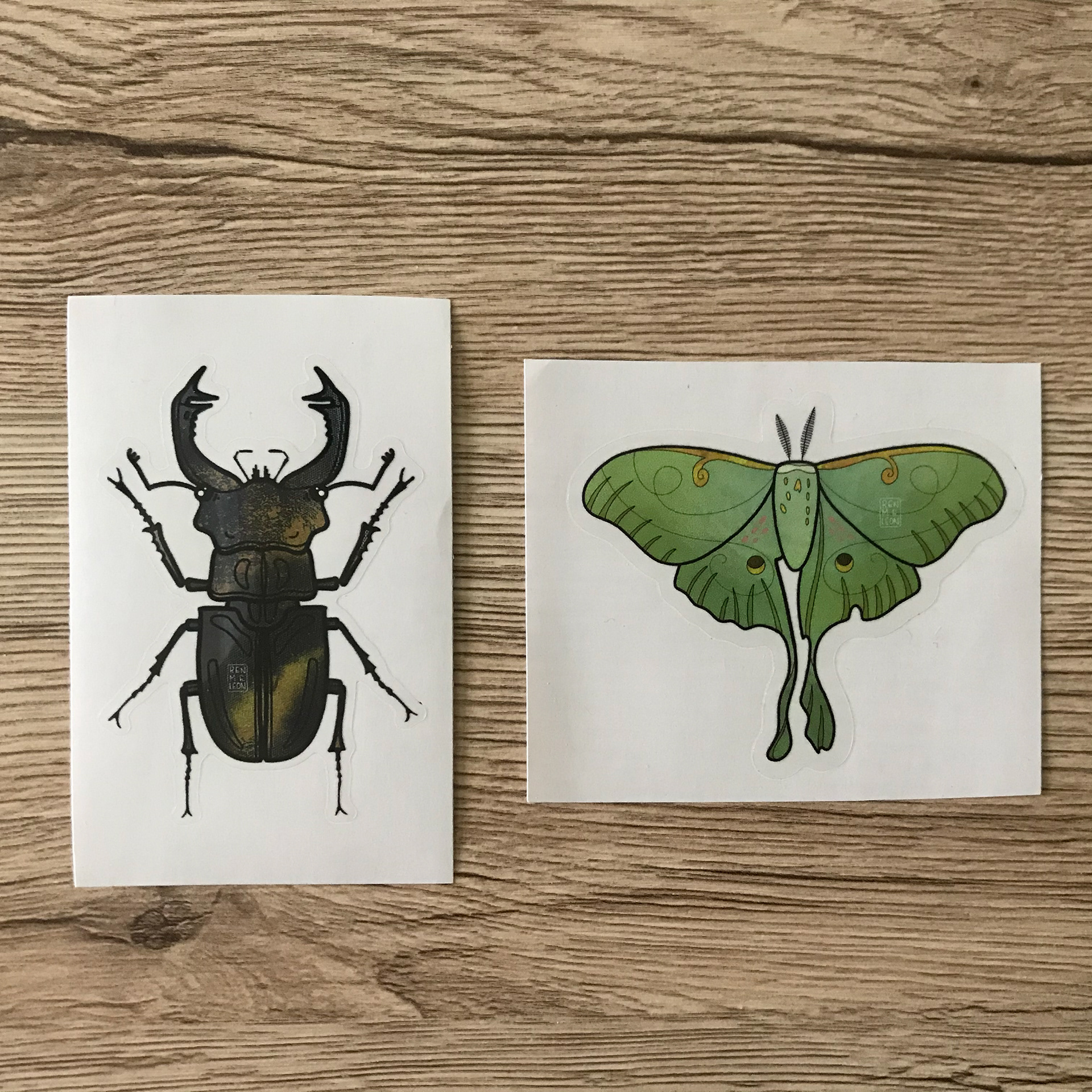 Stag Beetle, Luna Moth (clear)