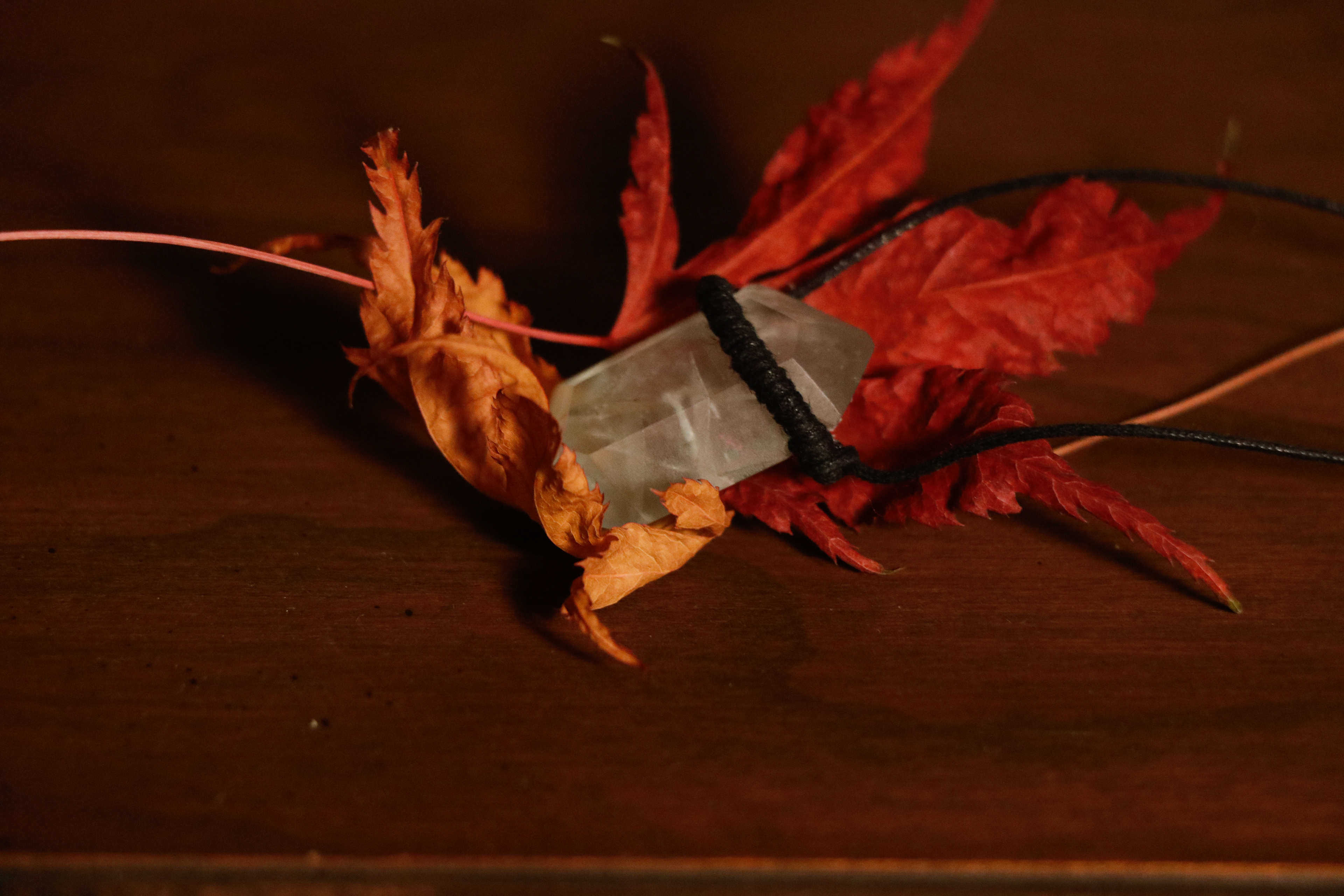 Encased in Japanese Maple -  Fluorite: a gemstone believed to cleanse, purify, and stabilize the bodies energy.