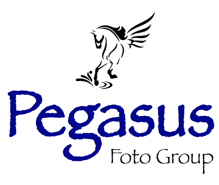 Pegasus Foto Group, LLC