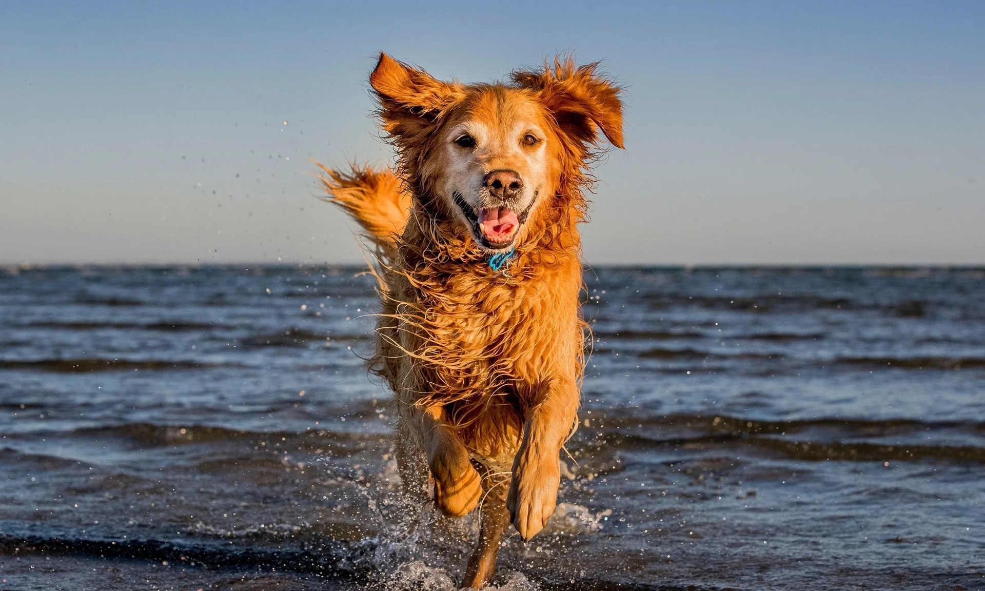 Beach Photoshoot
