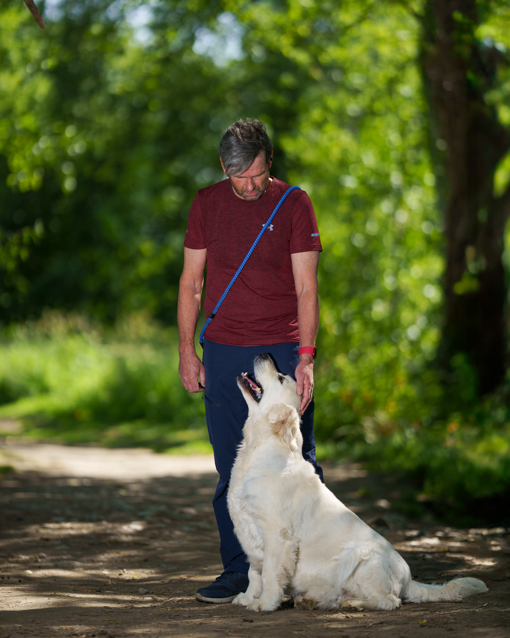 The incredible bond between dogs and their family