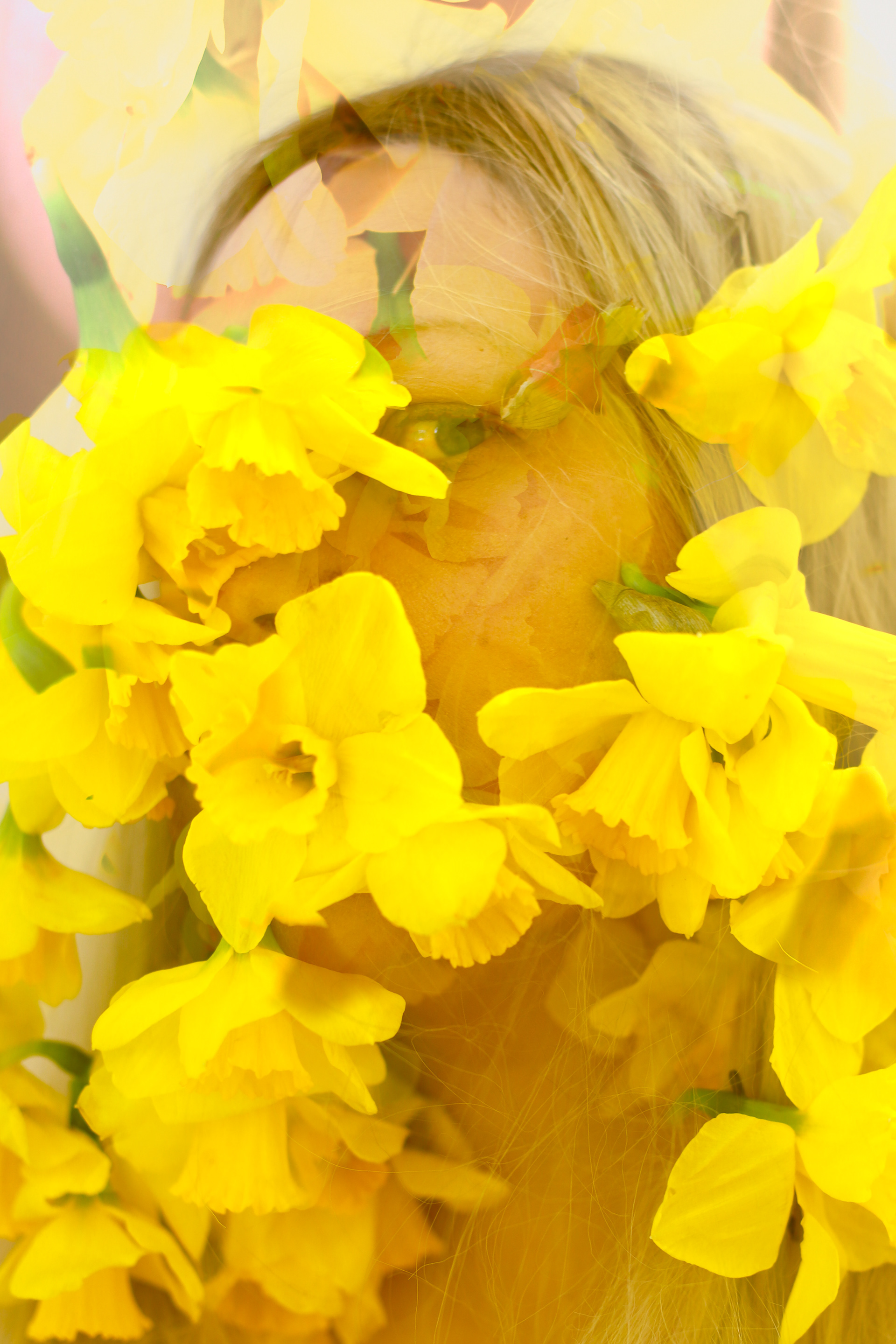 Daffodil Hallucinations