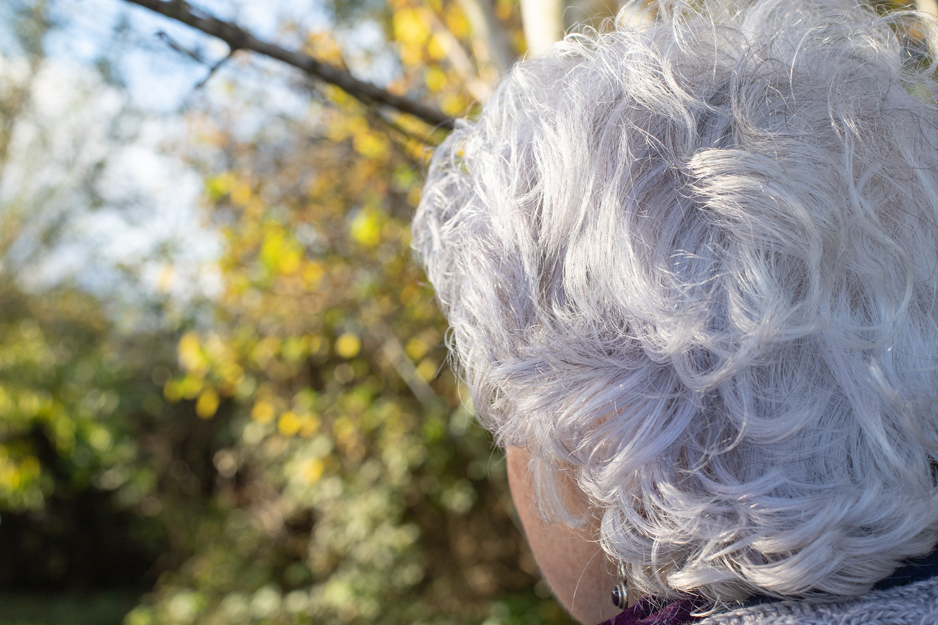 I started to have grey hair when I was in my teen's. Dyed it for a few years and then went through "pepper and salt" stage before becoming mostly white.