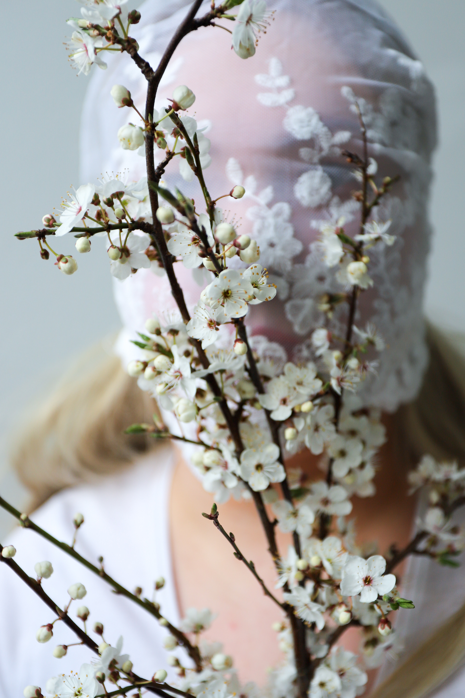 White Blossoms