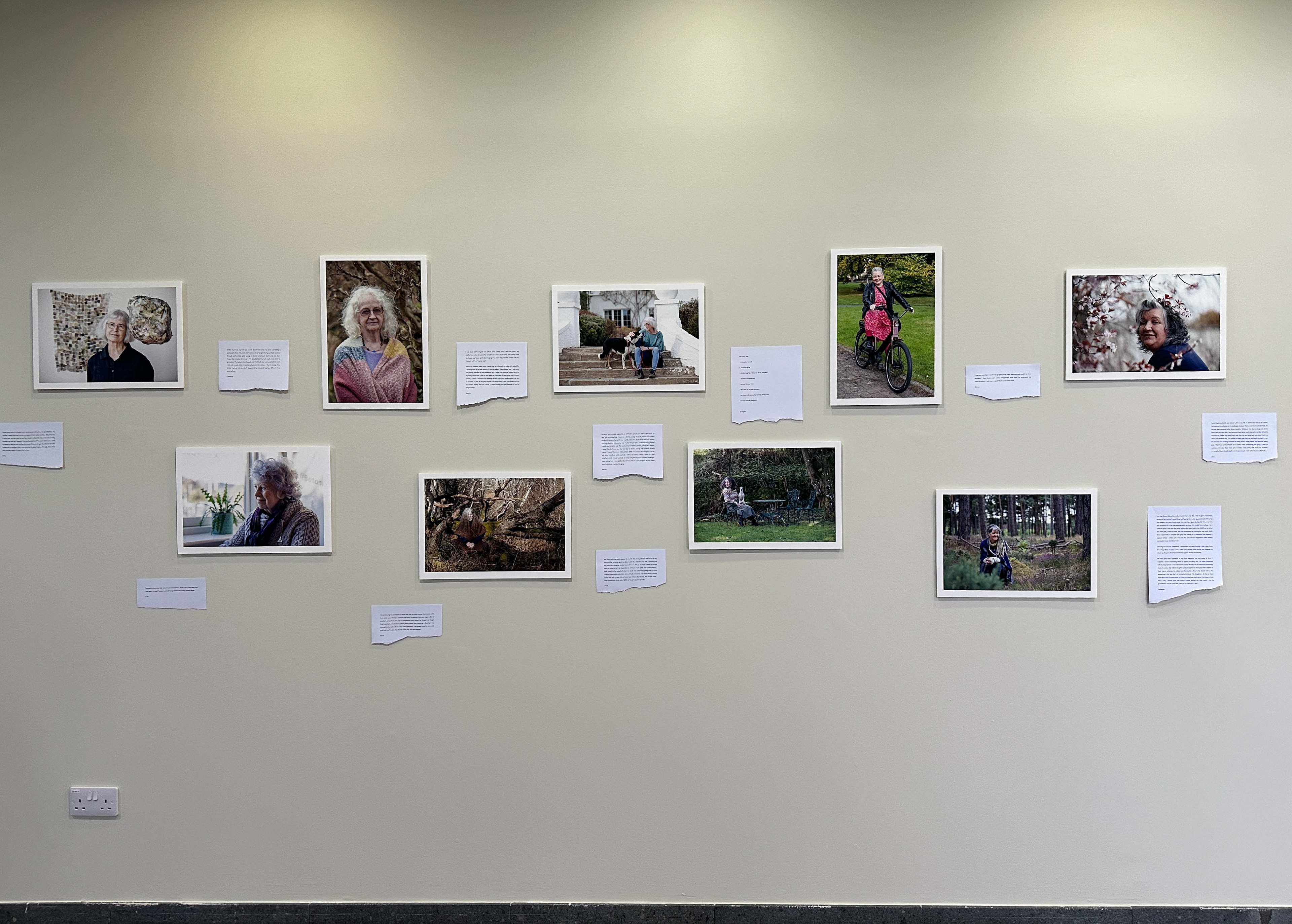 Project participant stories.
