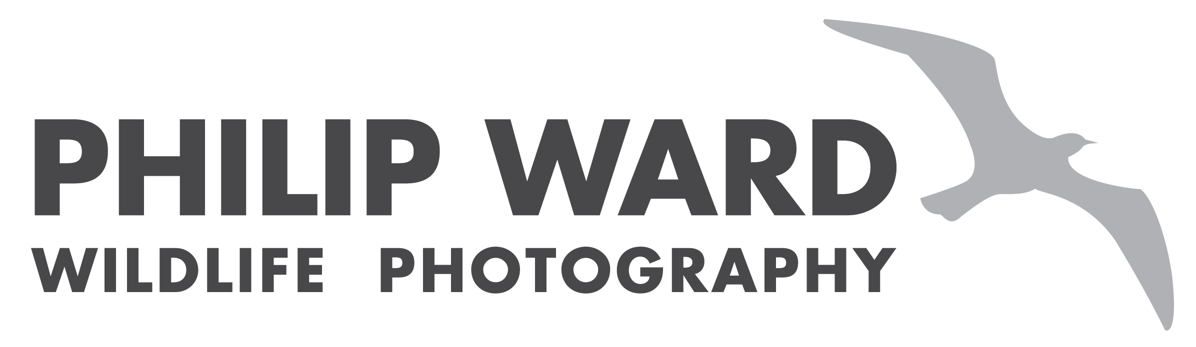 Philip Ward Wildlife Photography