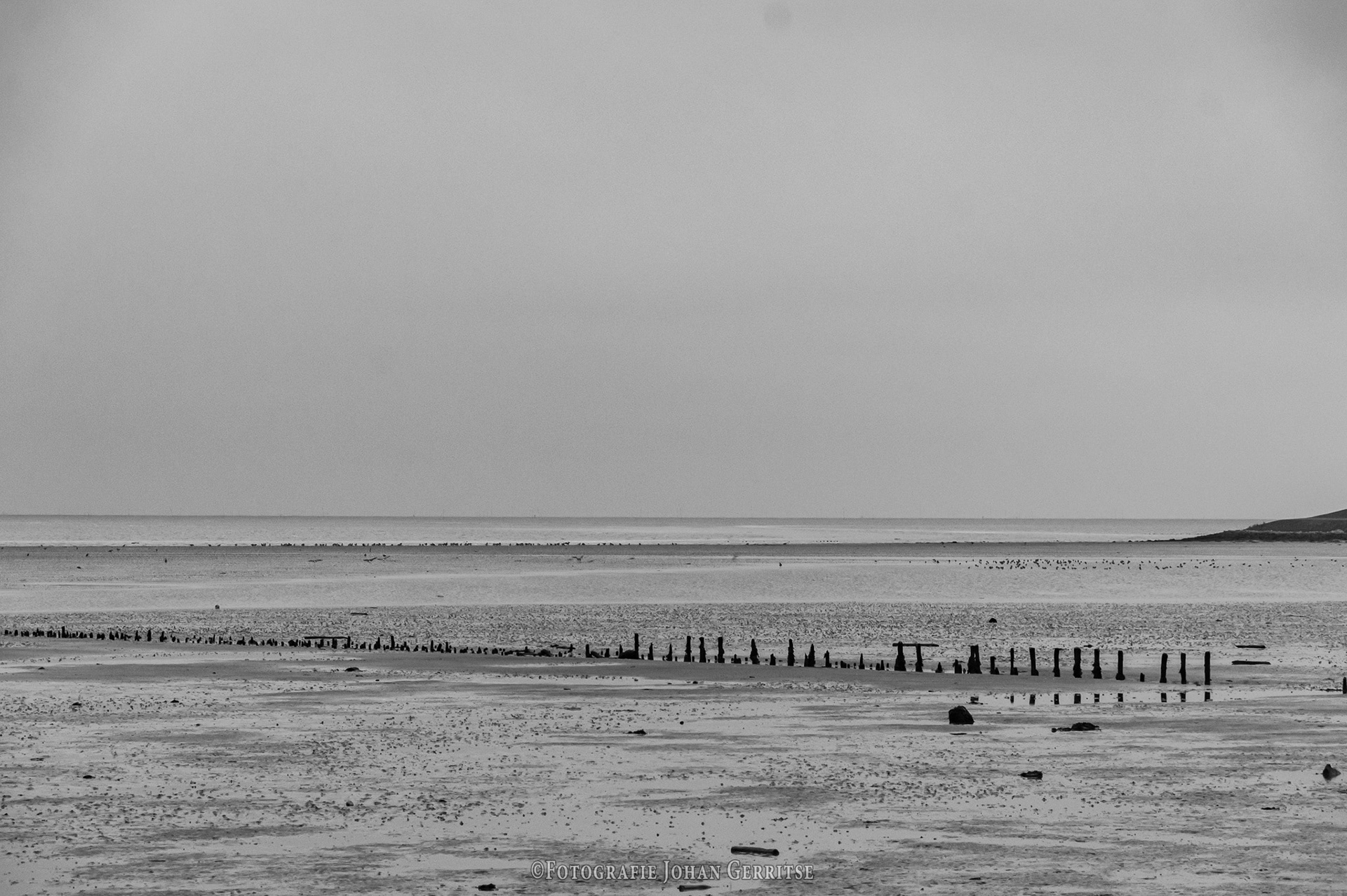 Terschelling