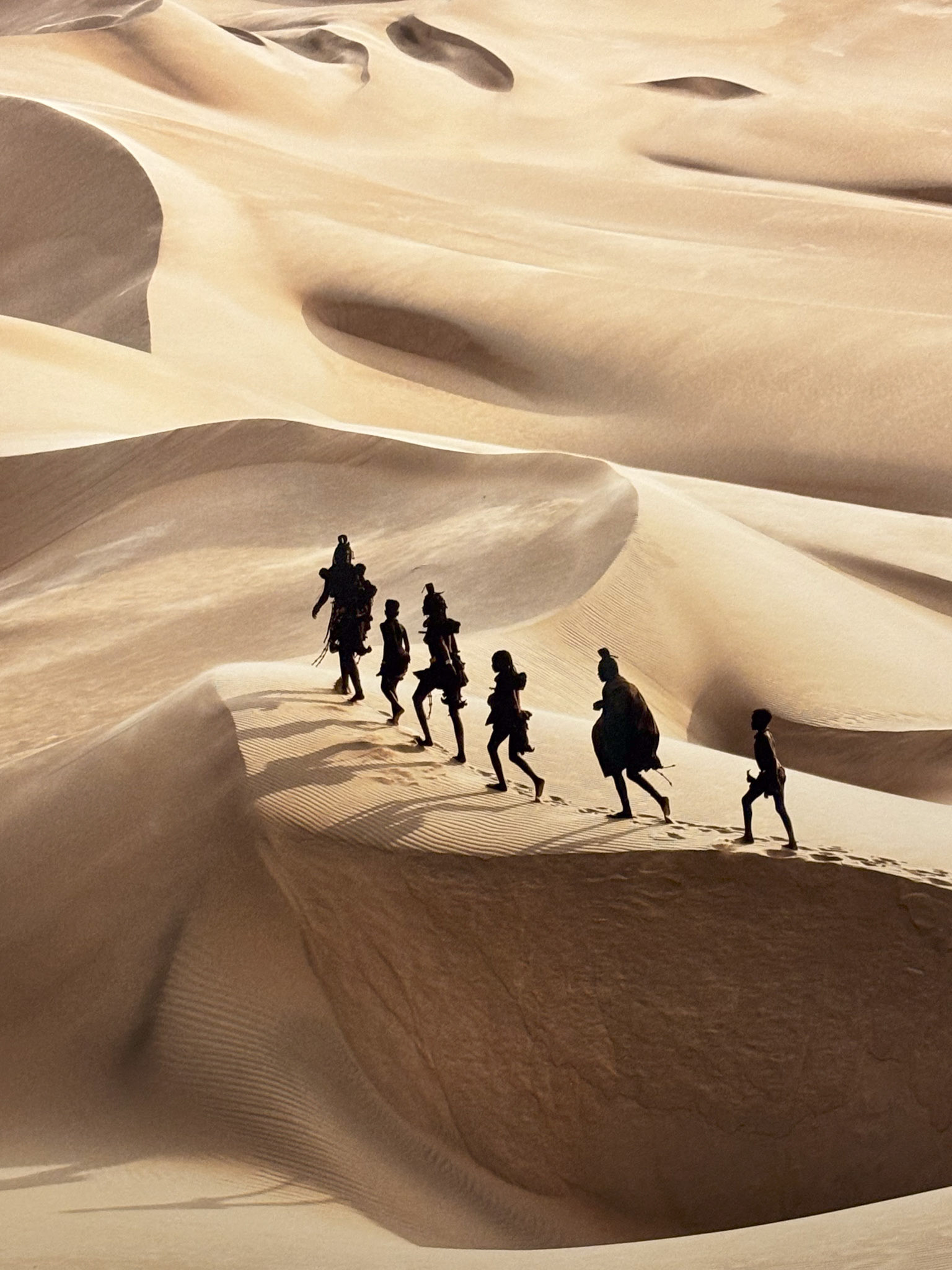 @jimmy.nelson.official