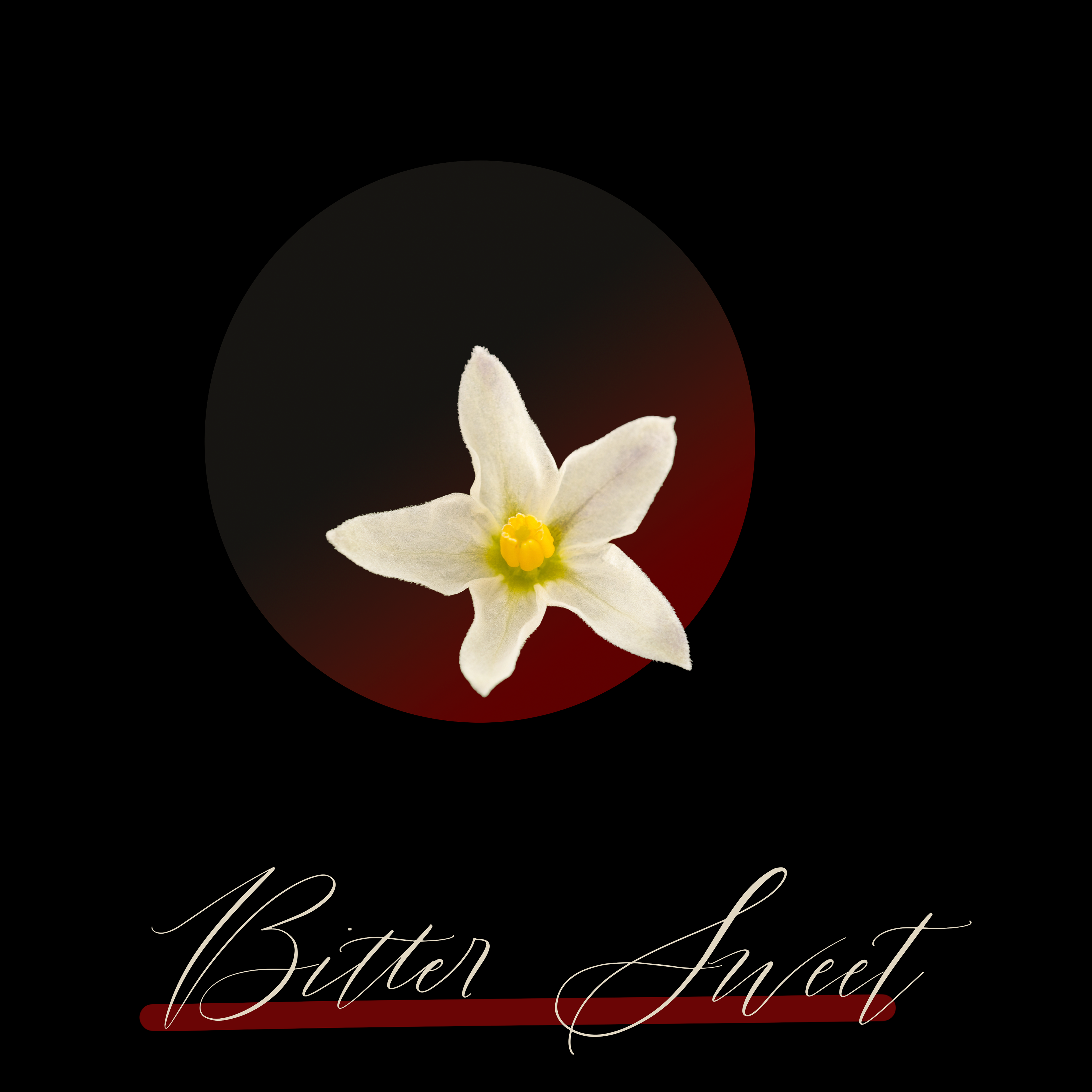 Apple Single Cover