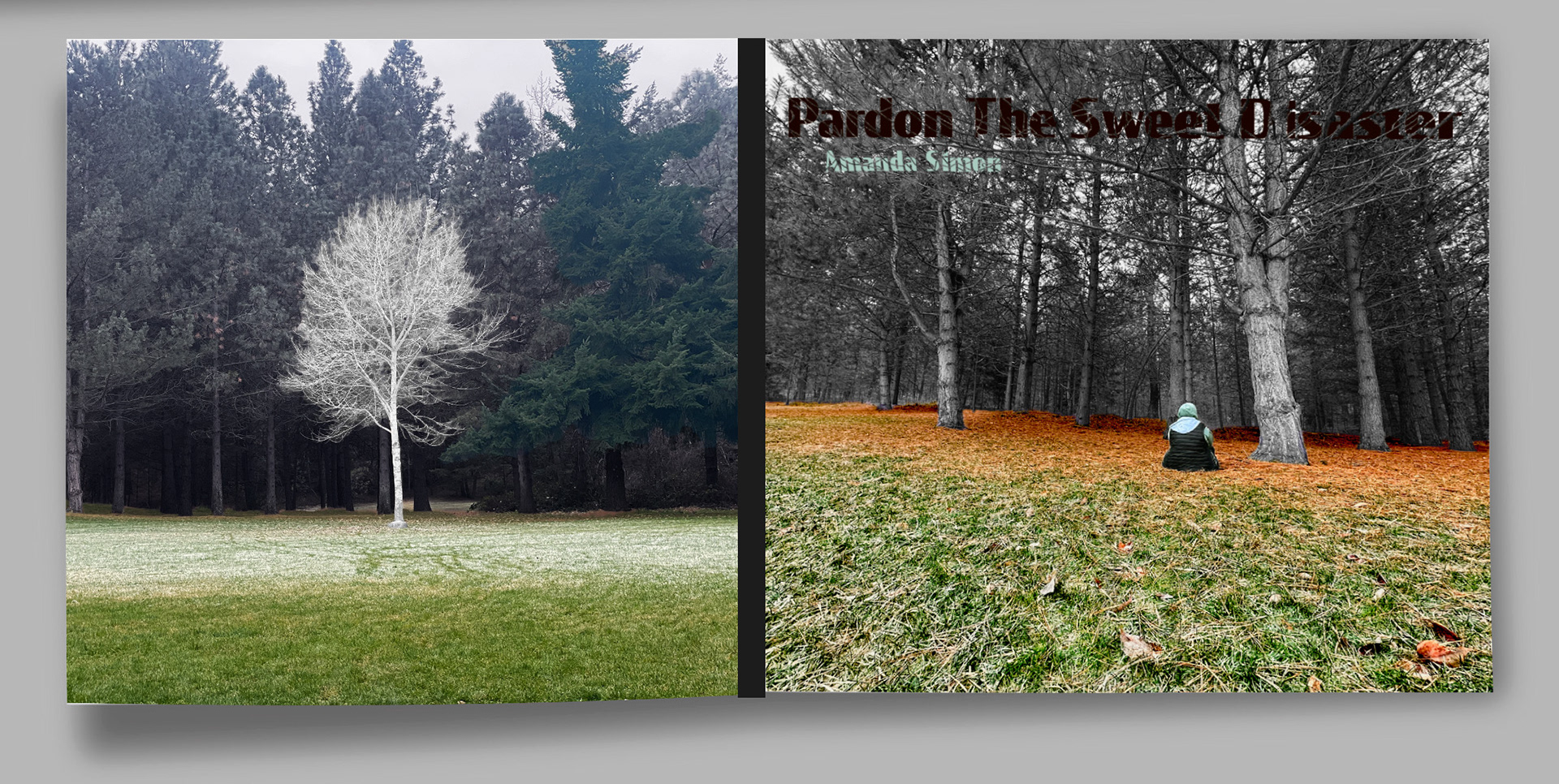Album Front and Back