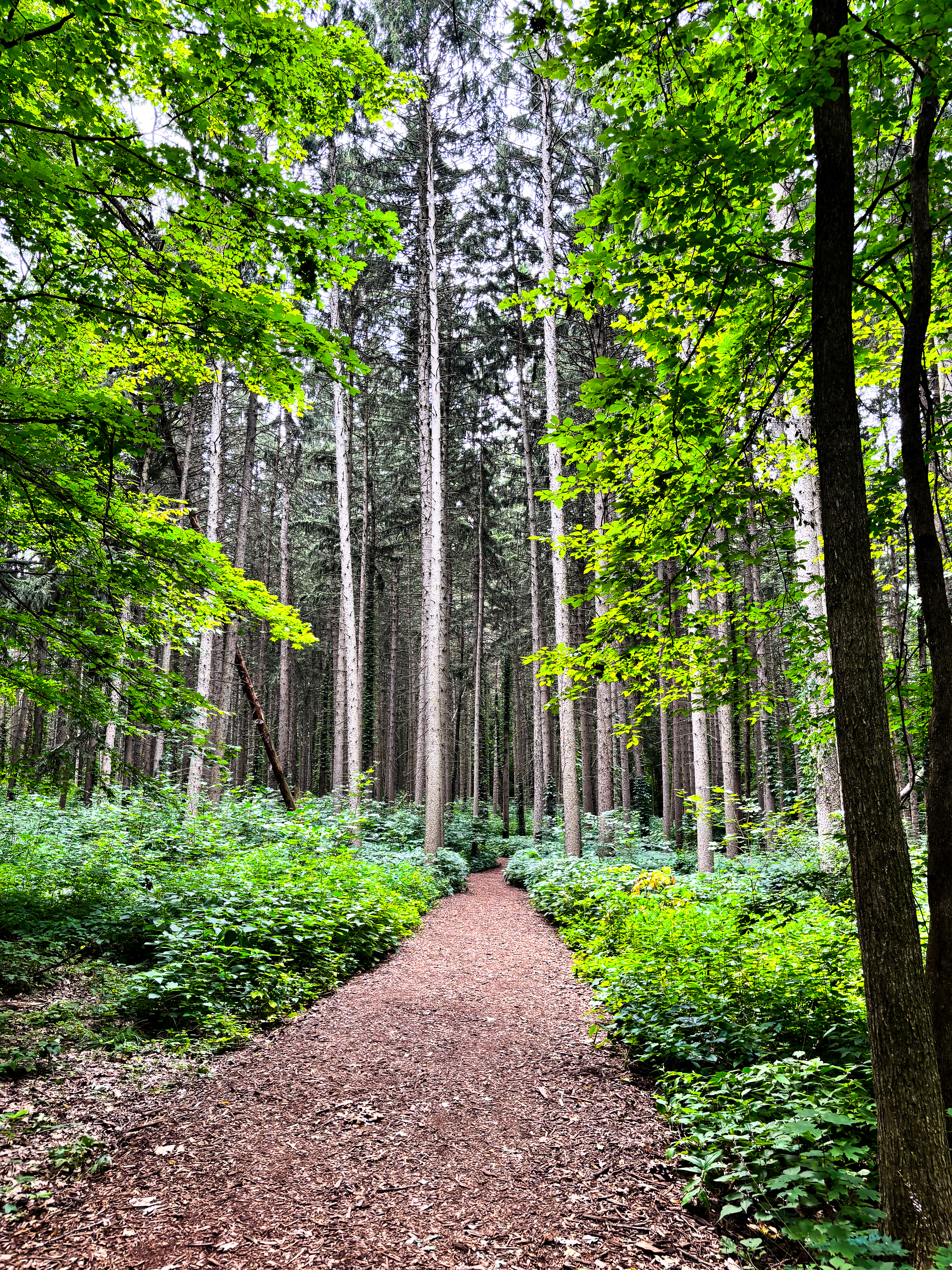 Morton Arboretum, Chicago, IL