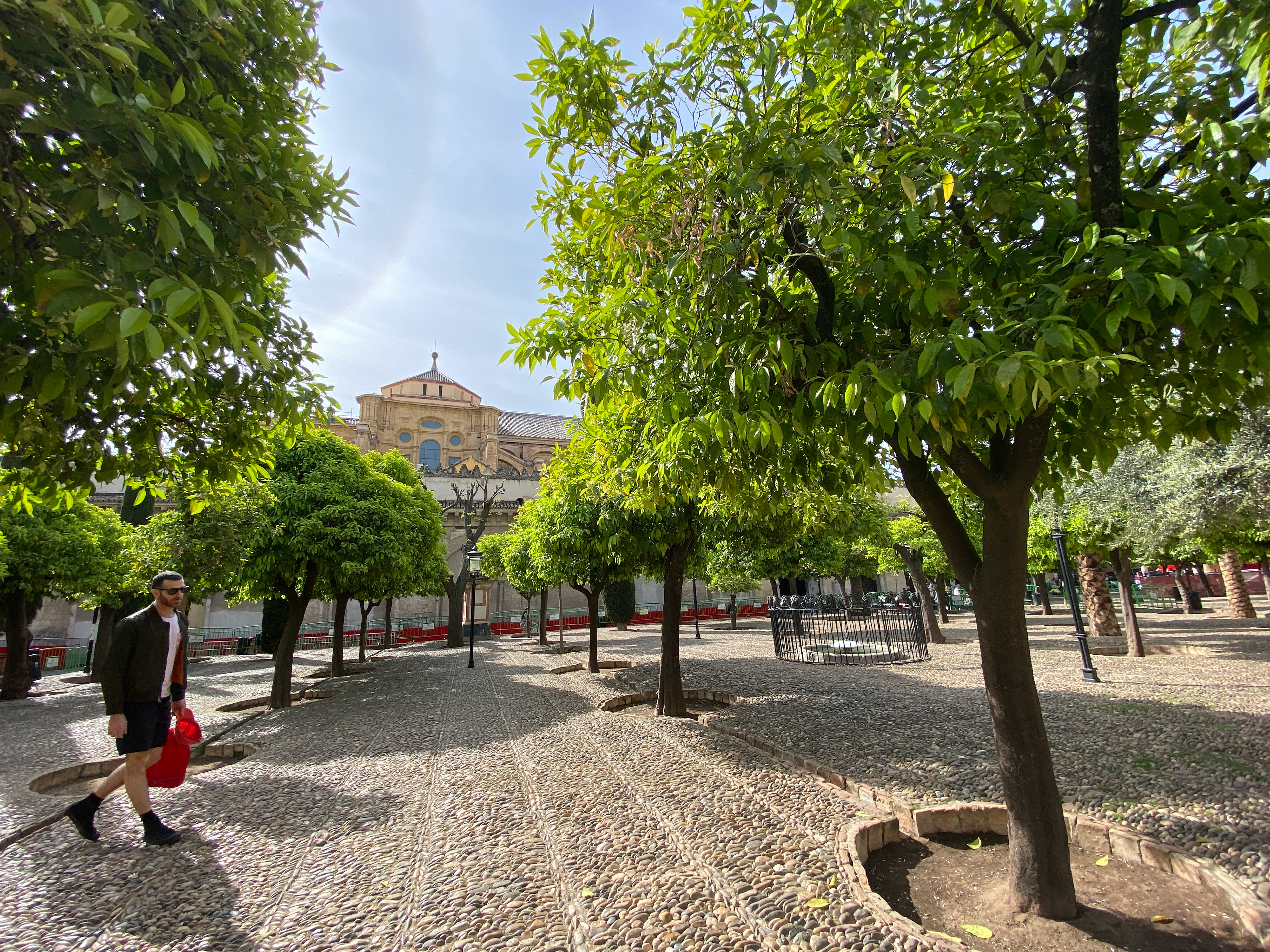 The grounds outside- Orange trees