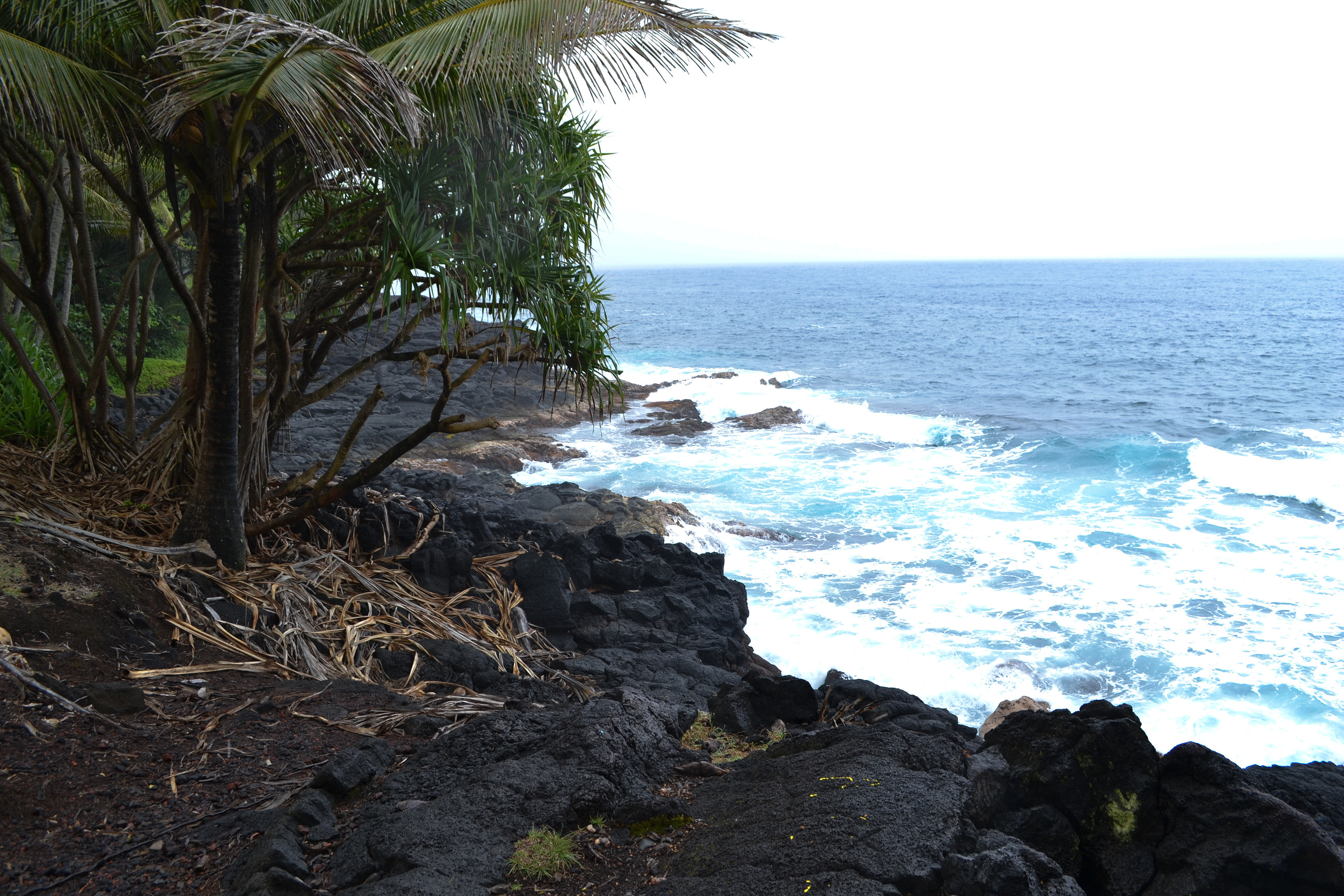 Hawaiian Black Beach
