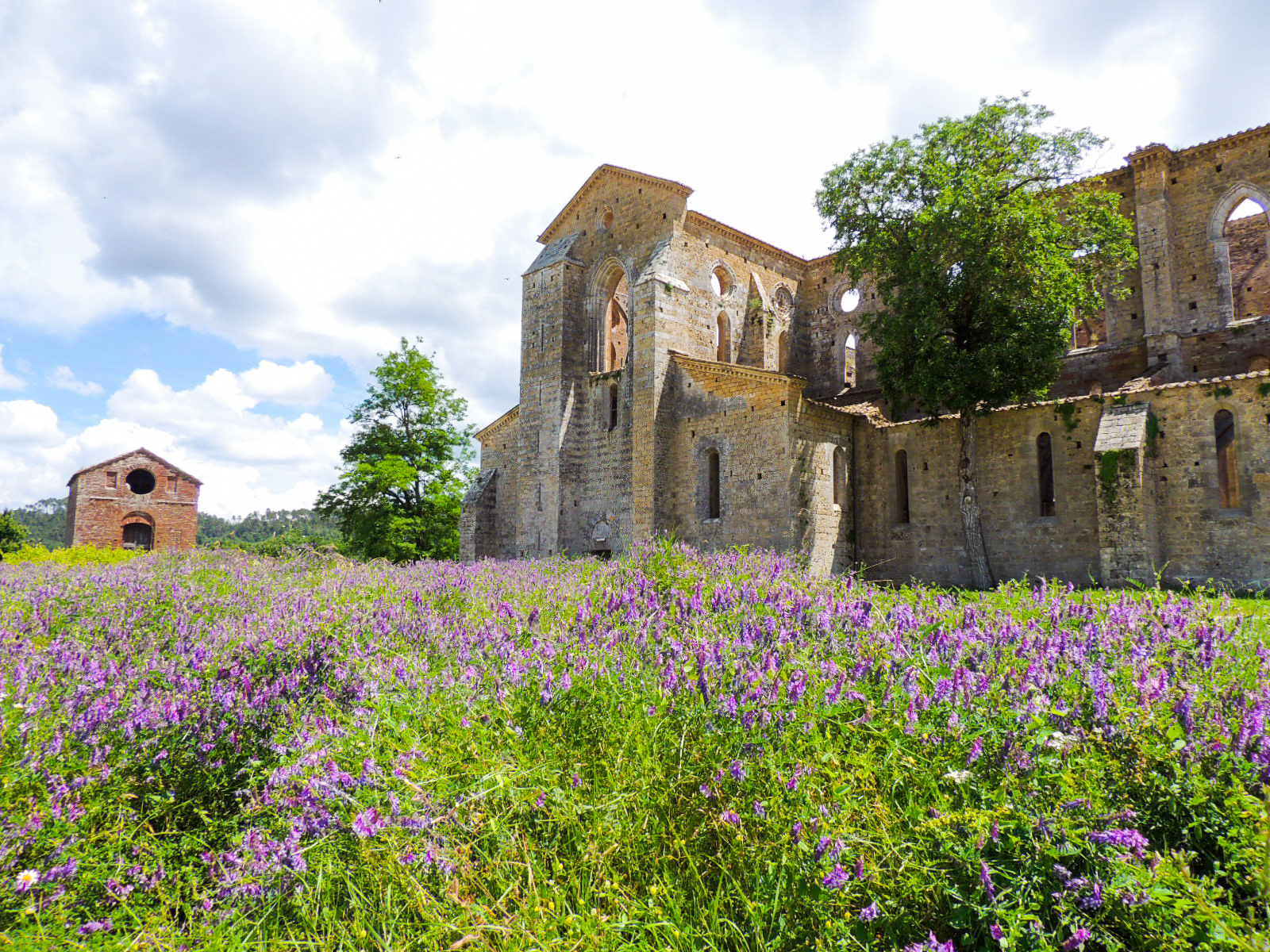 San Galgano, Italy