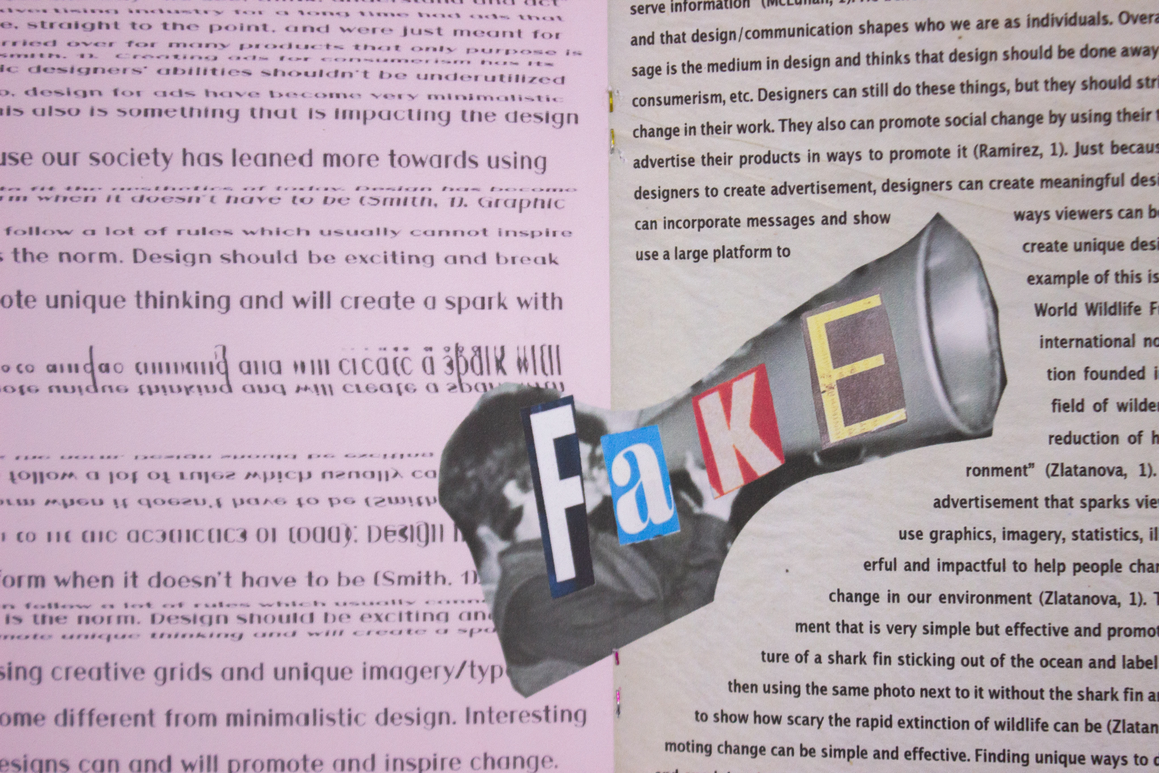 Graphic Design for Social Change Zine Three