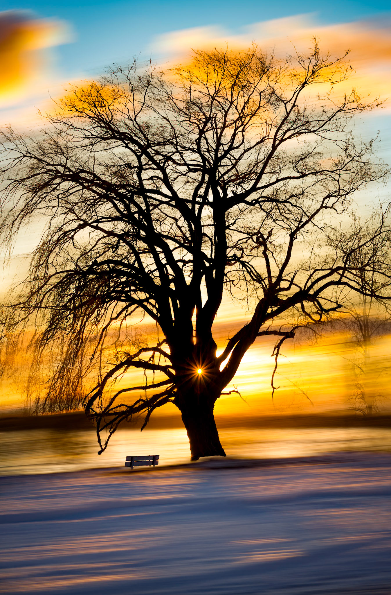 Le soleil était vraiment dans le trou de l'arbre