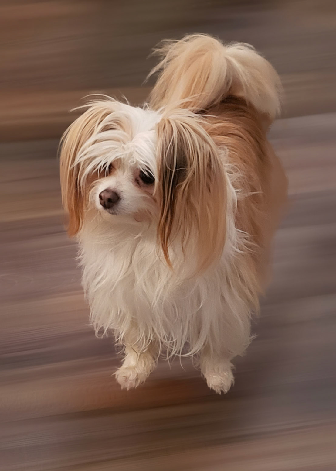 Photo orginale avec flou directionnel