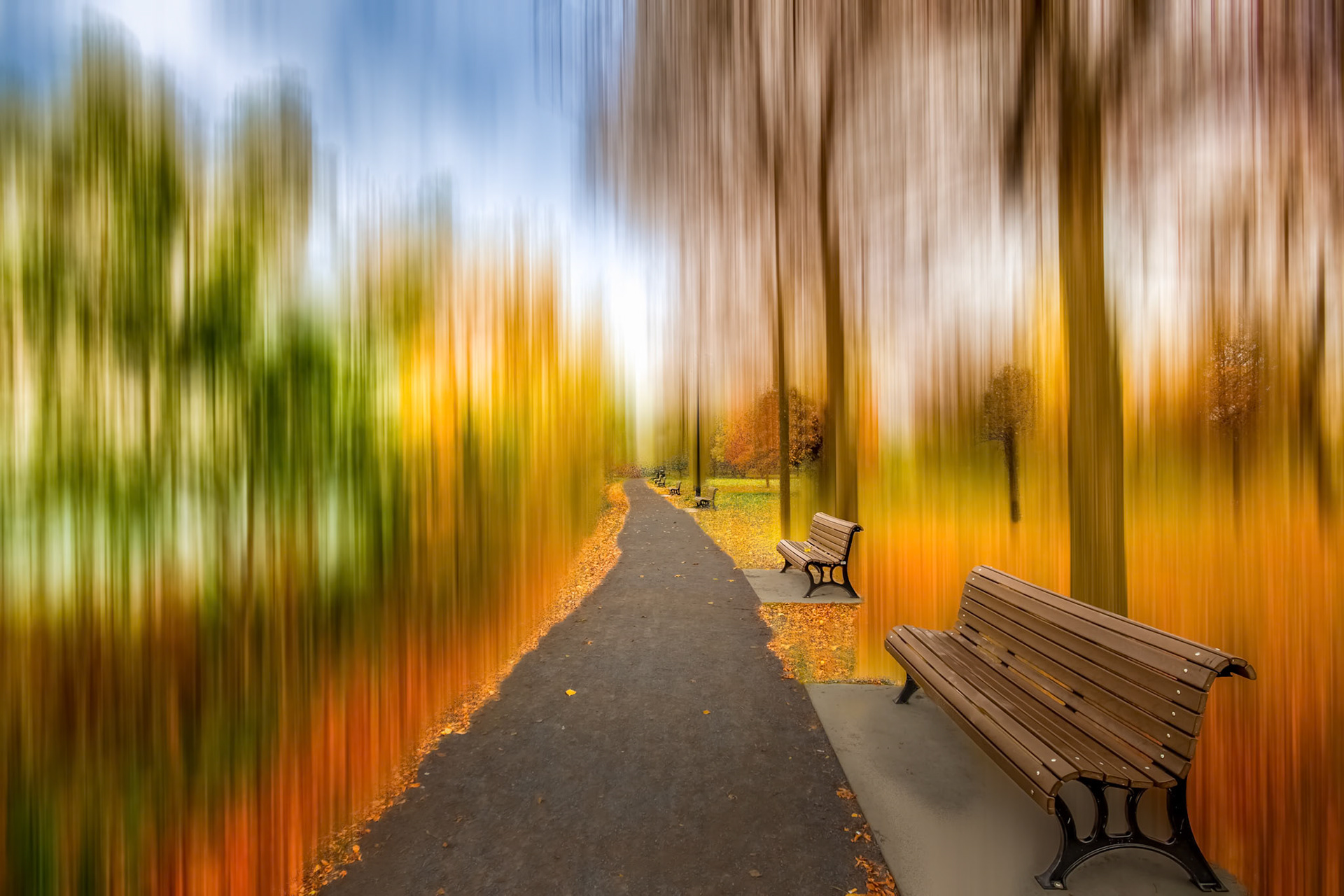 Parc de la Rive
