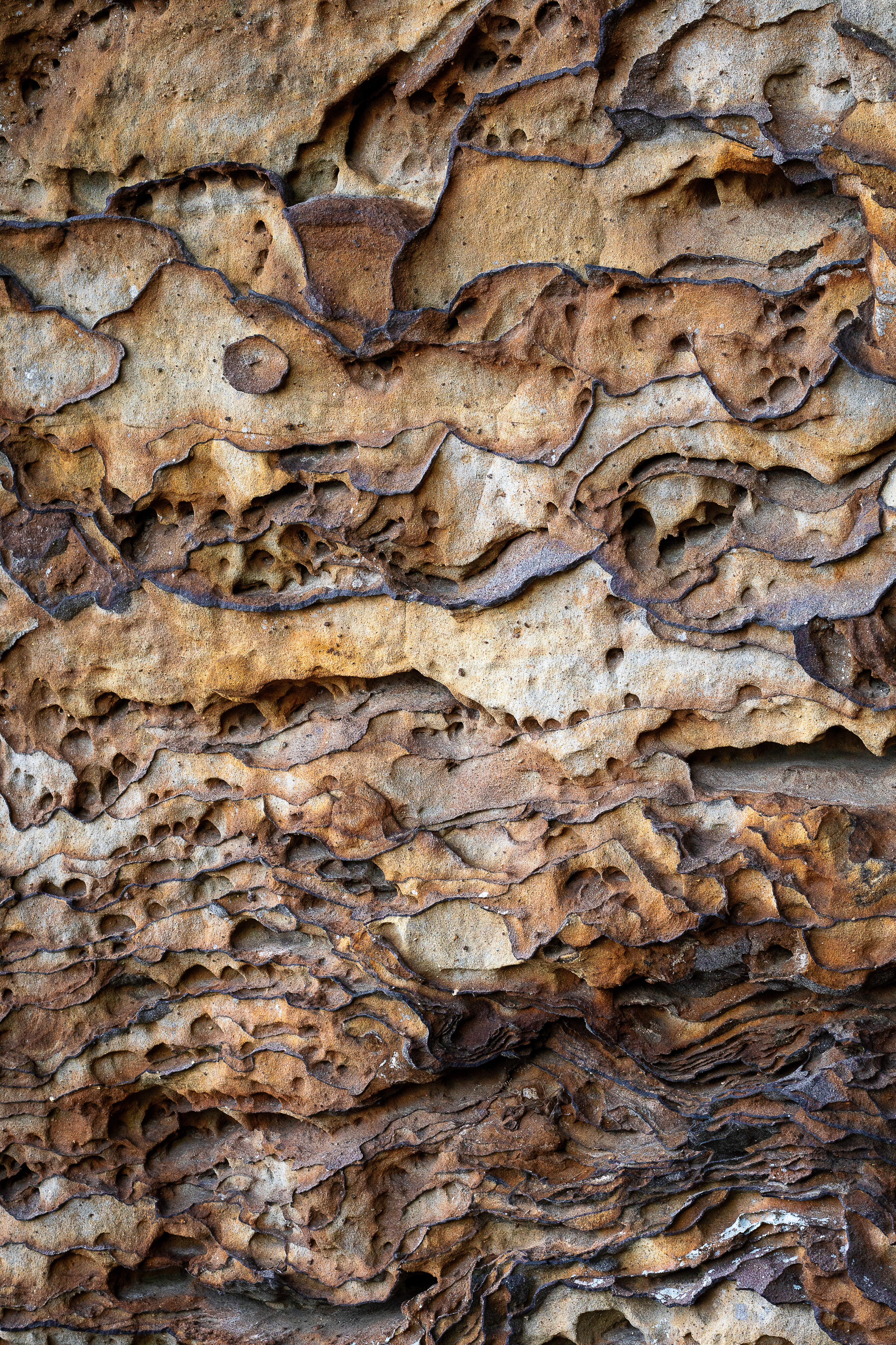 Liesegang, Shawnee National Forest, Illinois