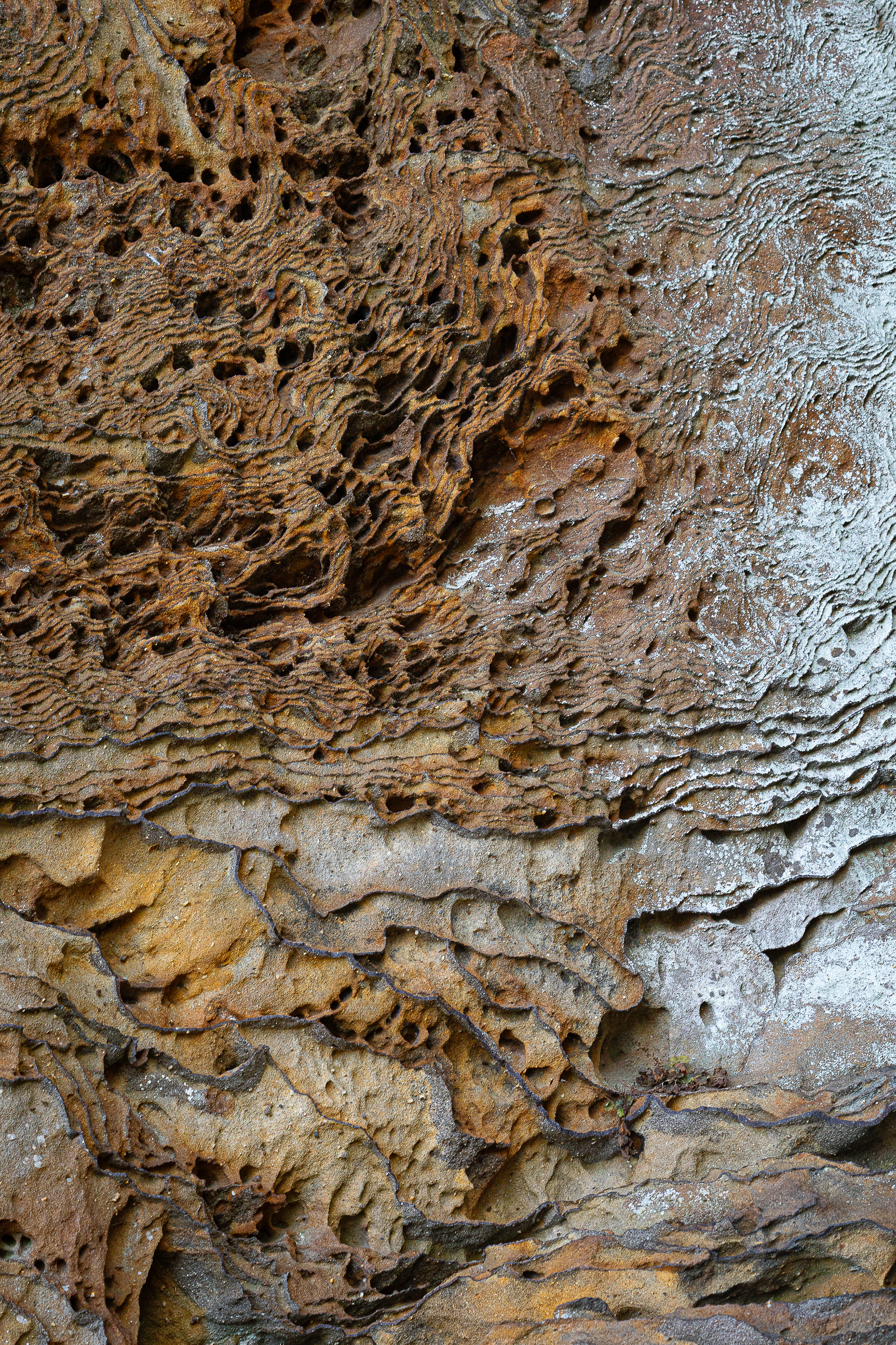 Liesegang, Shawnee National Forest, Illinois