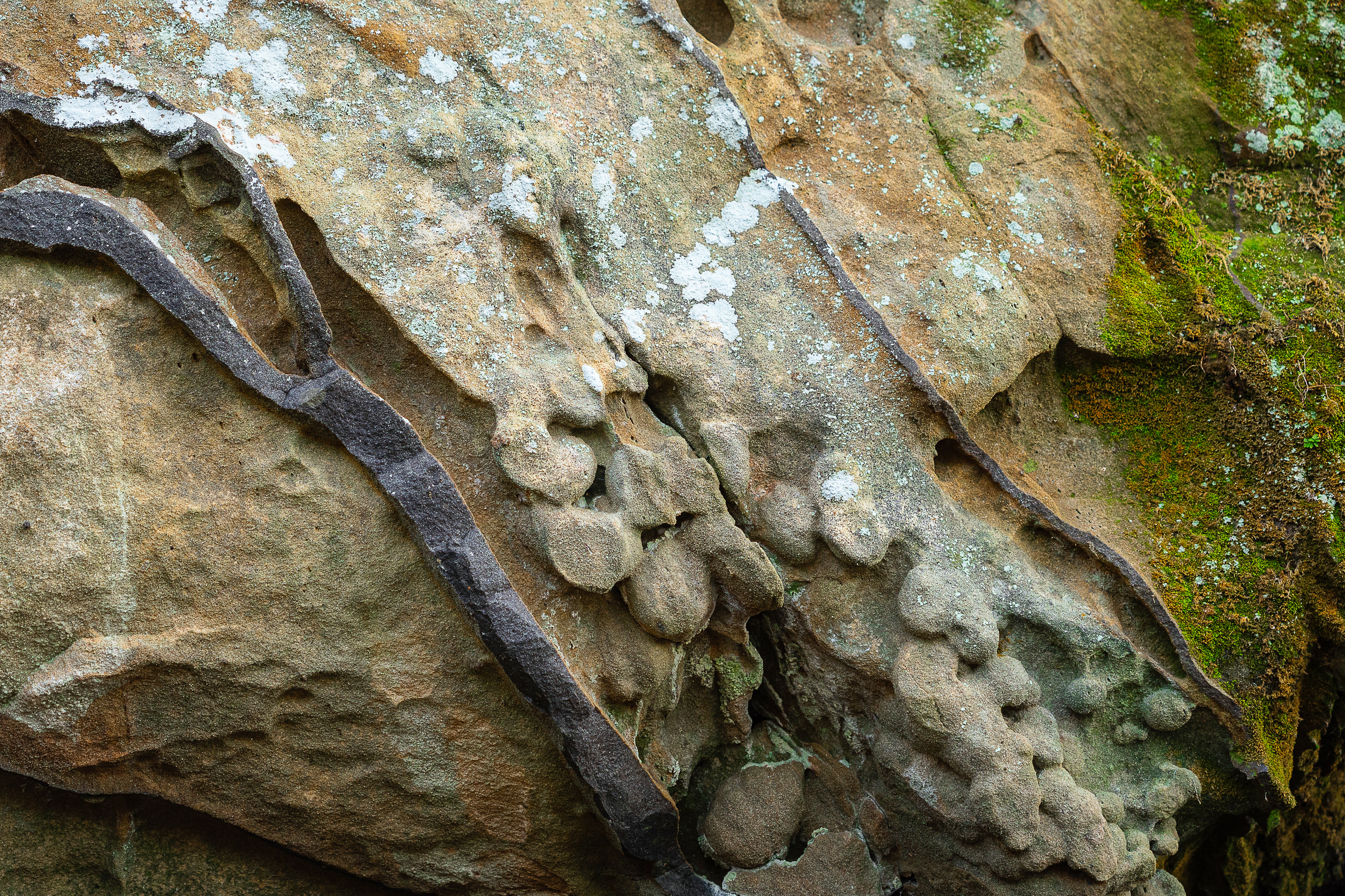 Liesegang, Shawnee National Forest, Illinois