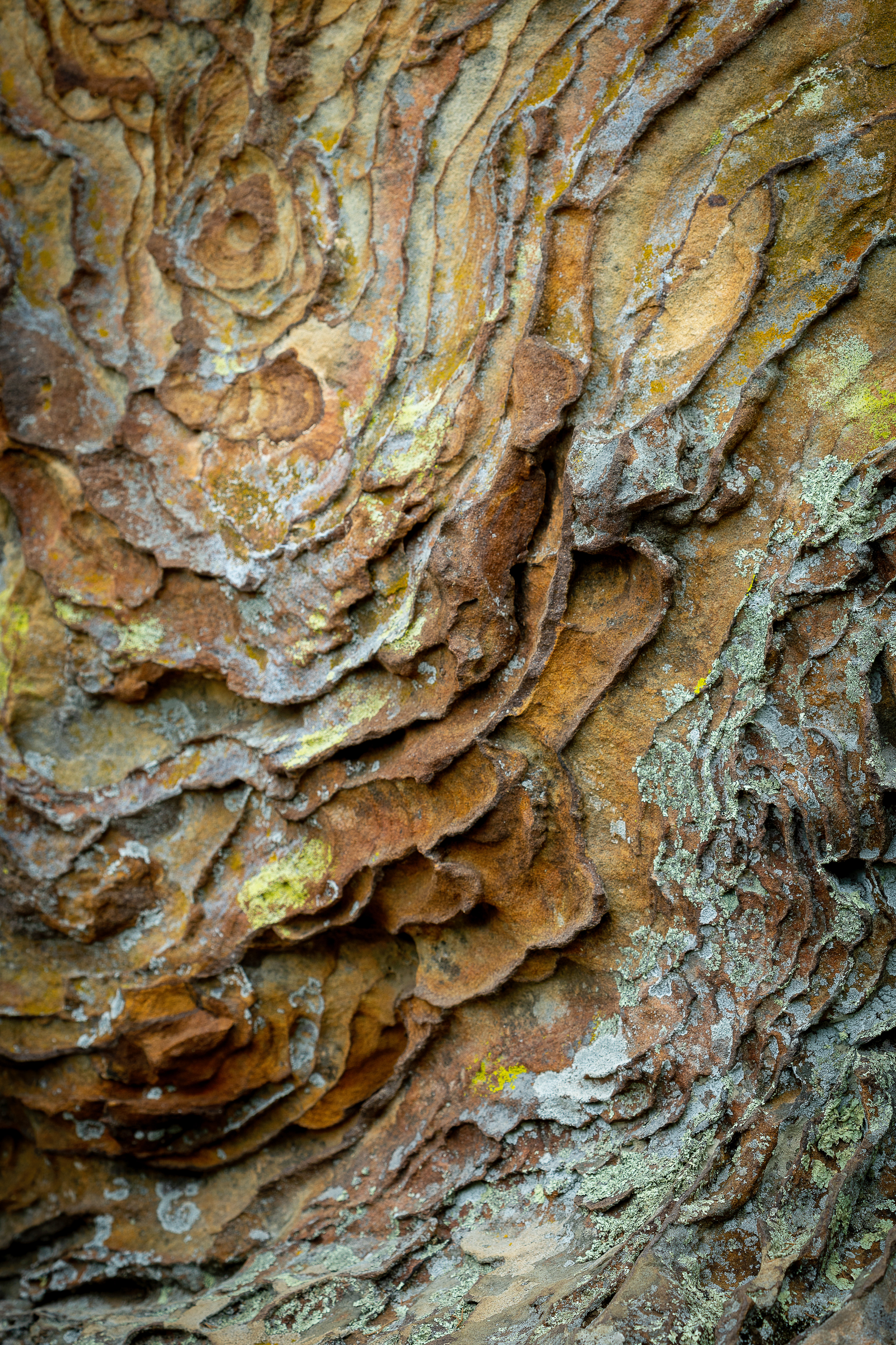 Liesegang, Garden of the Gods, Shawnee National Forest, Illinois