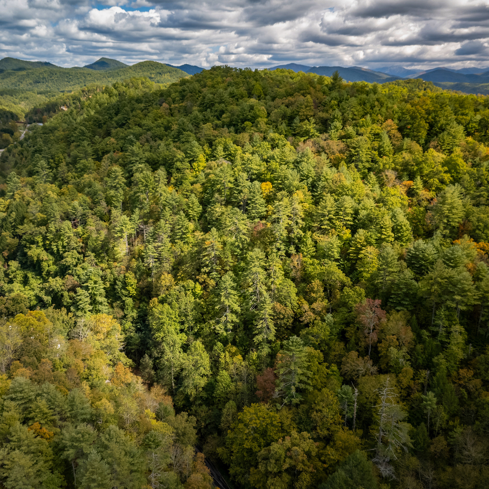 Mountain property in Townsend