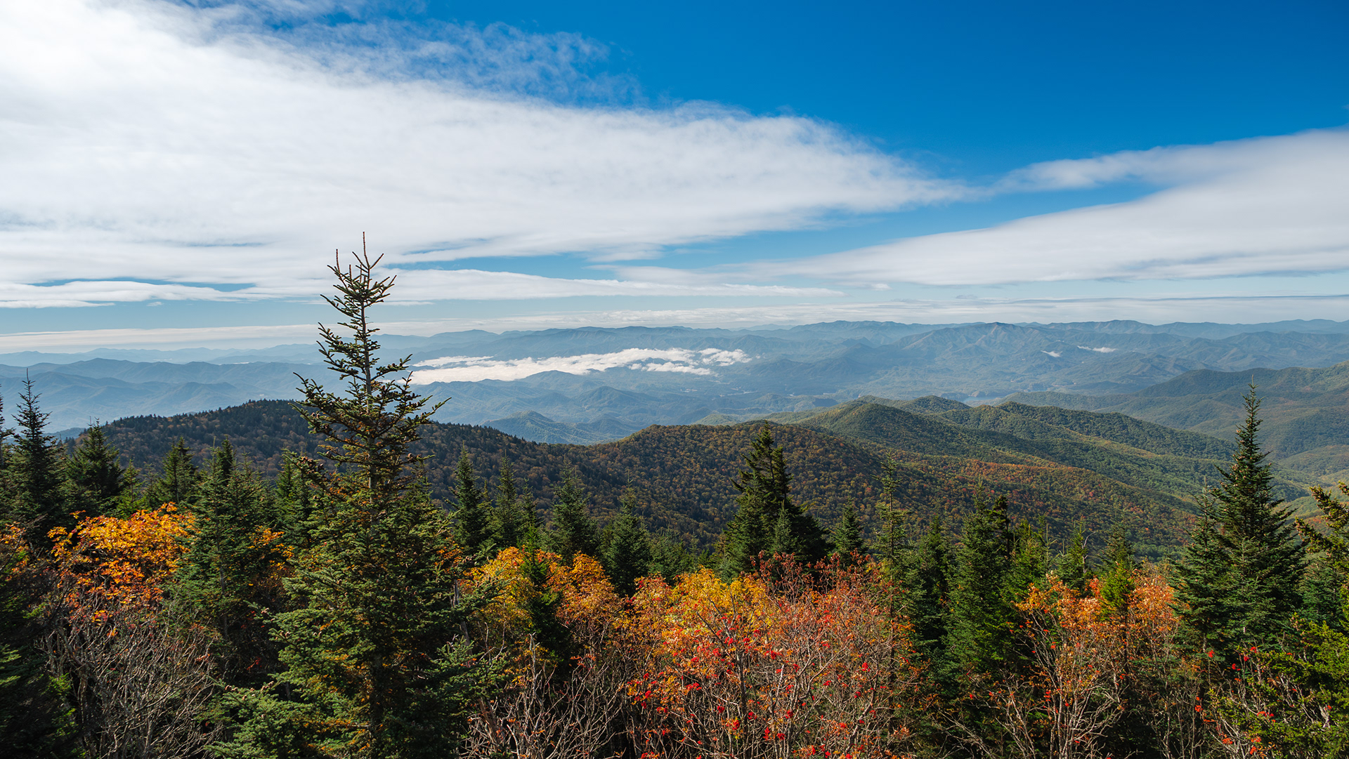 Clingman's Dome, TN