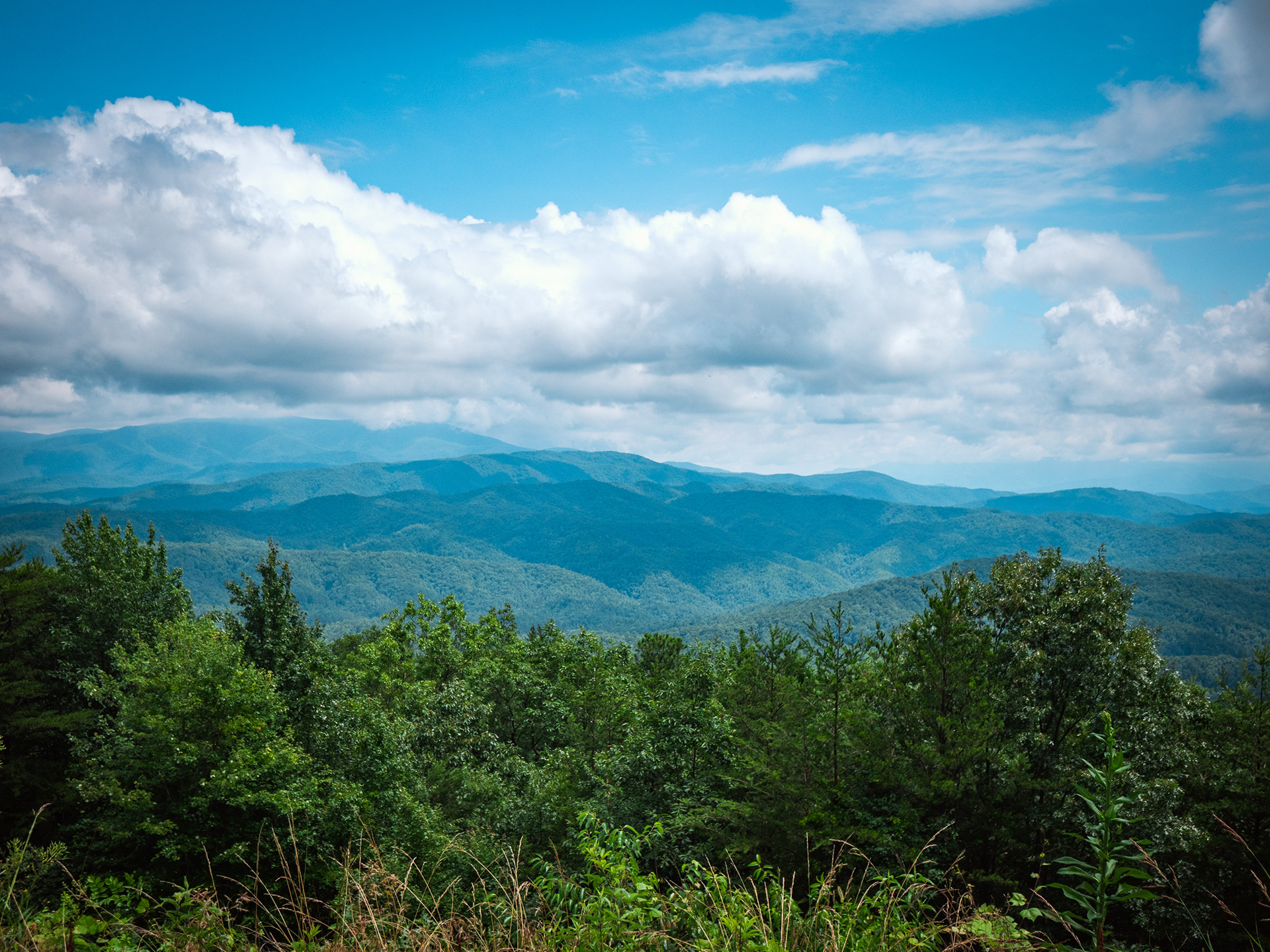 Clingman's Dome, NC