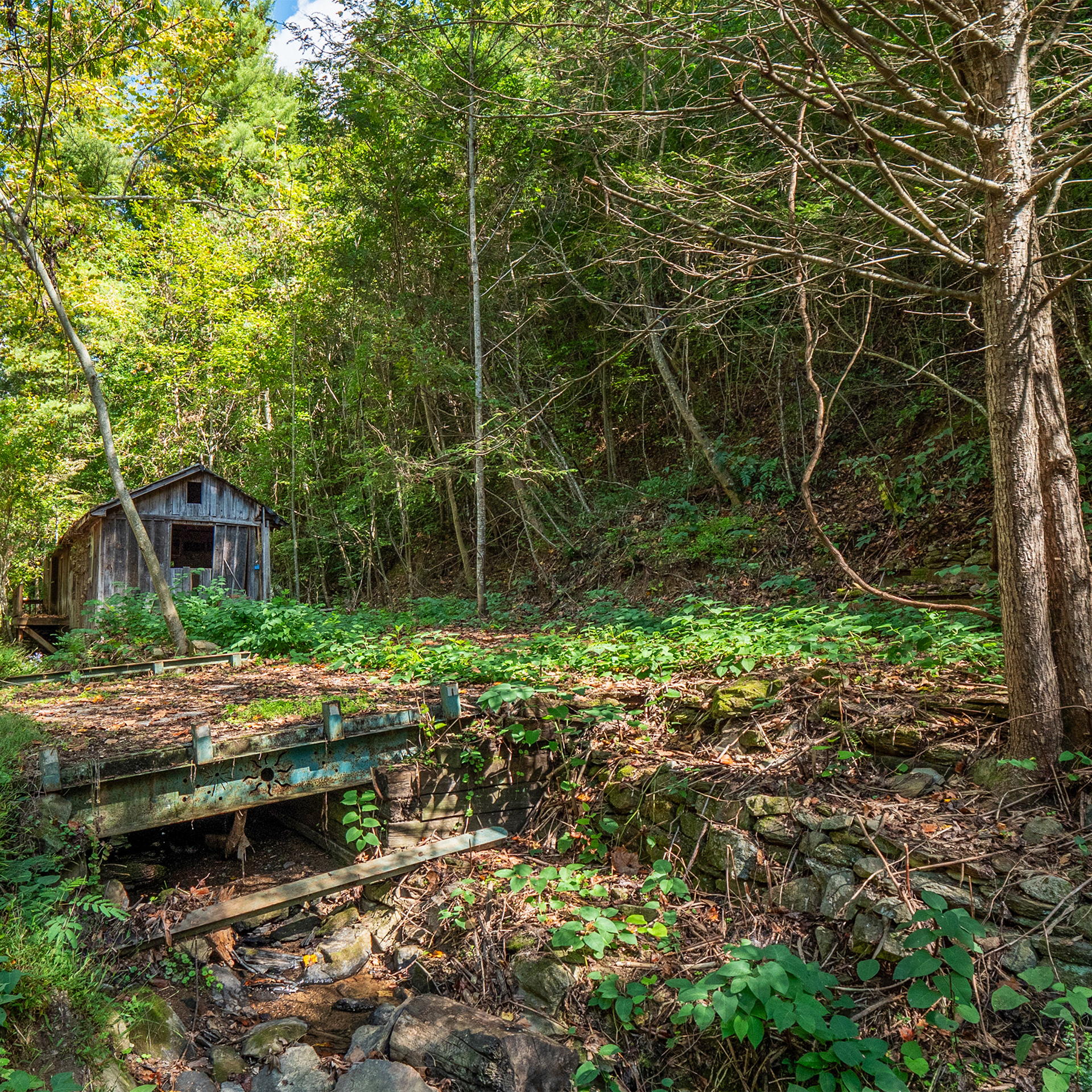 Mountain property in Townsend